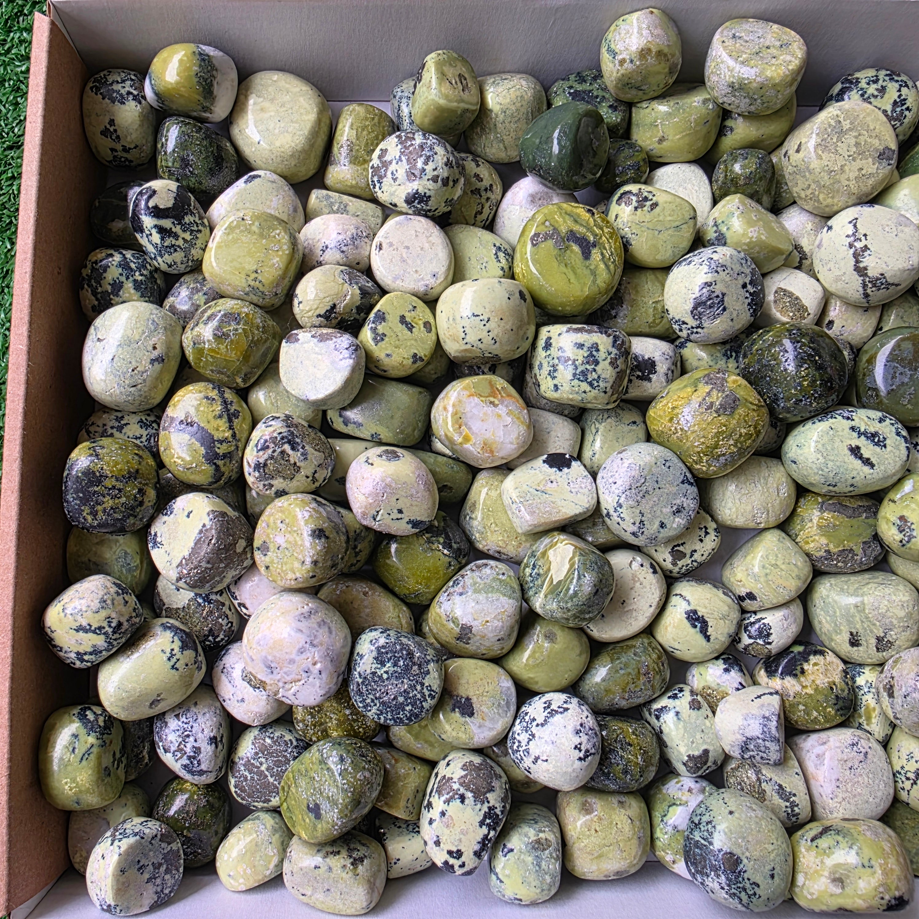 Lot 3 kg Serpentine tumbled