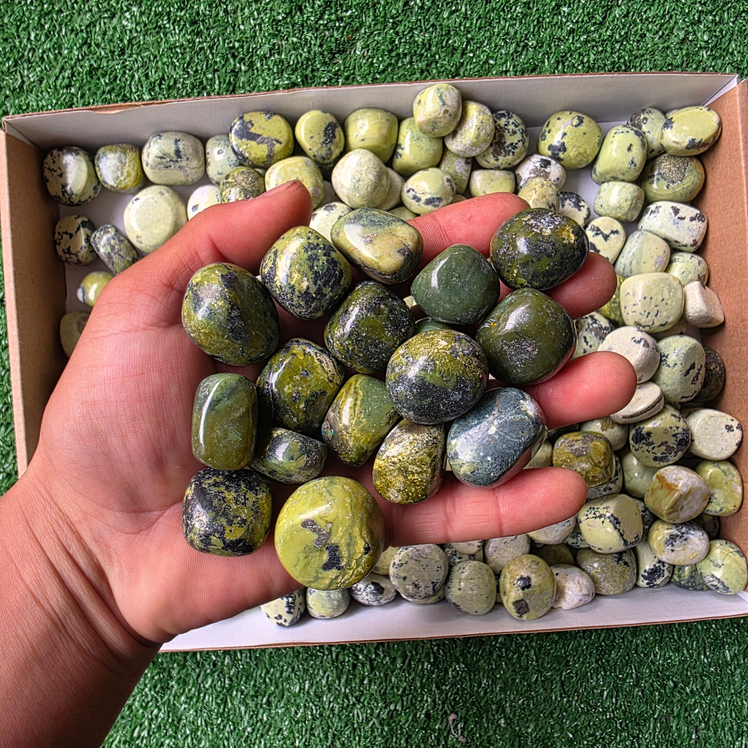 Lot 3 kg Serpentine tumbled