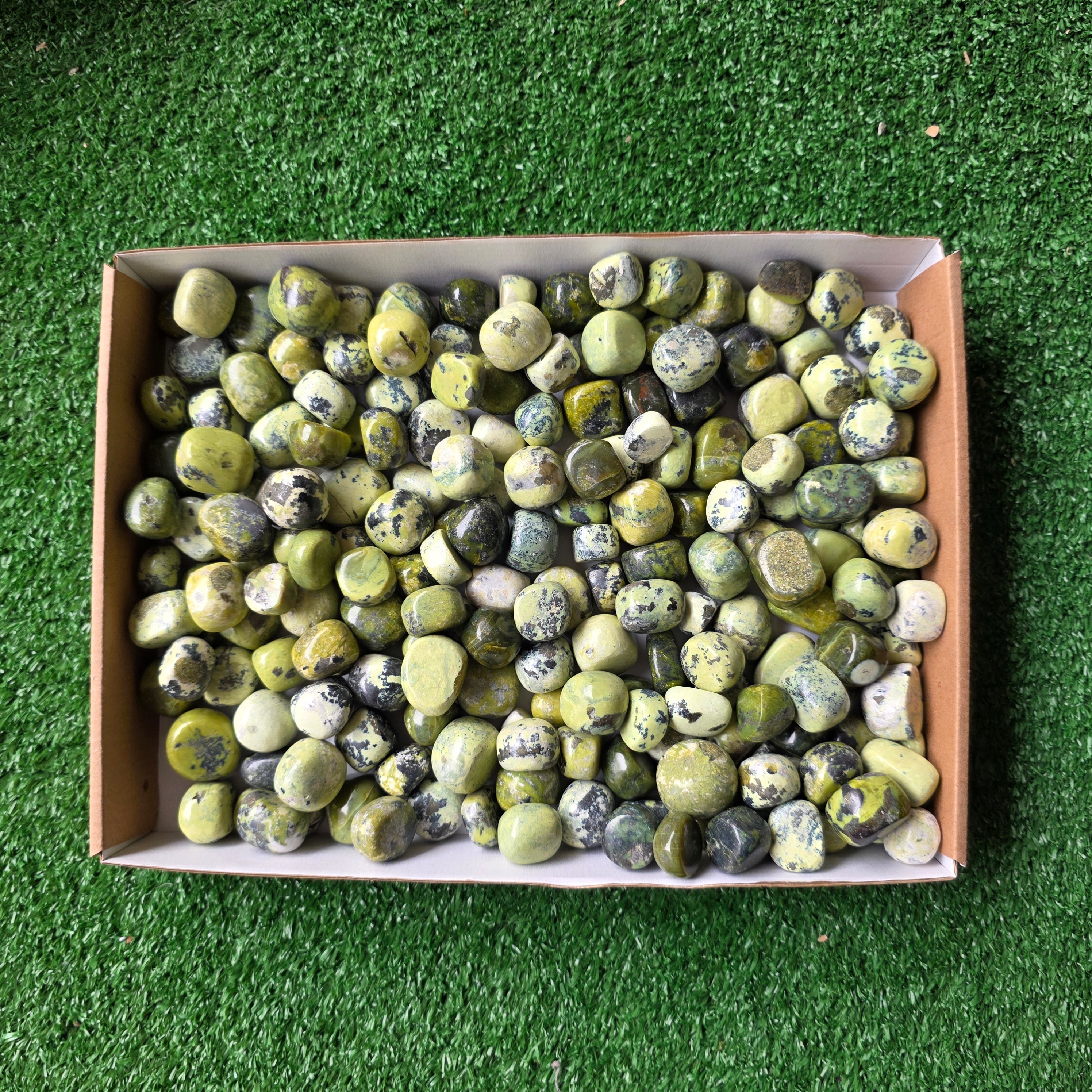 Lot 3 kg Serpentine tumbled