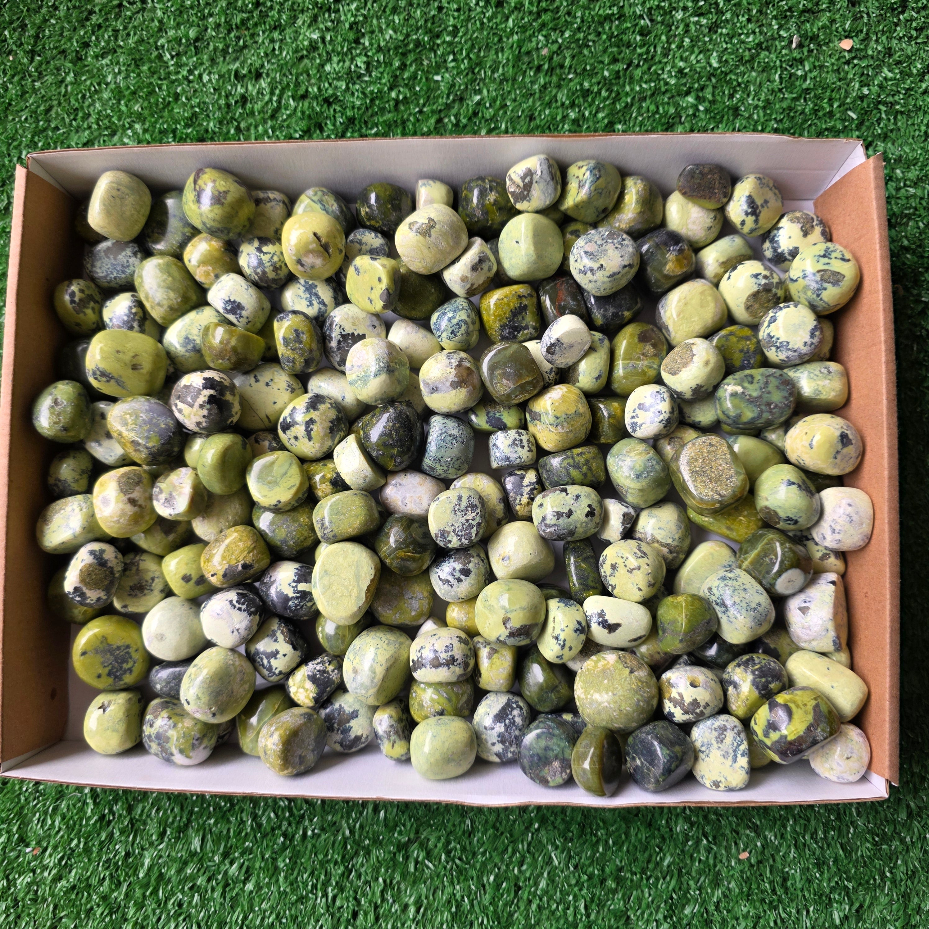 Lot 3 kg Serpentine tumbled