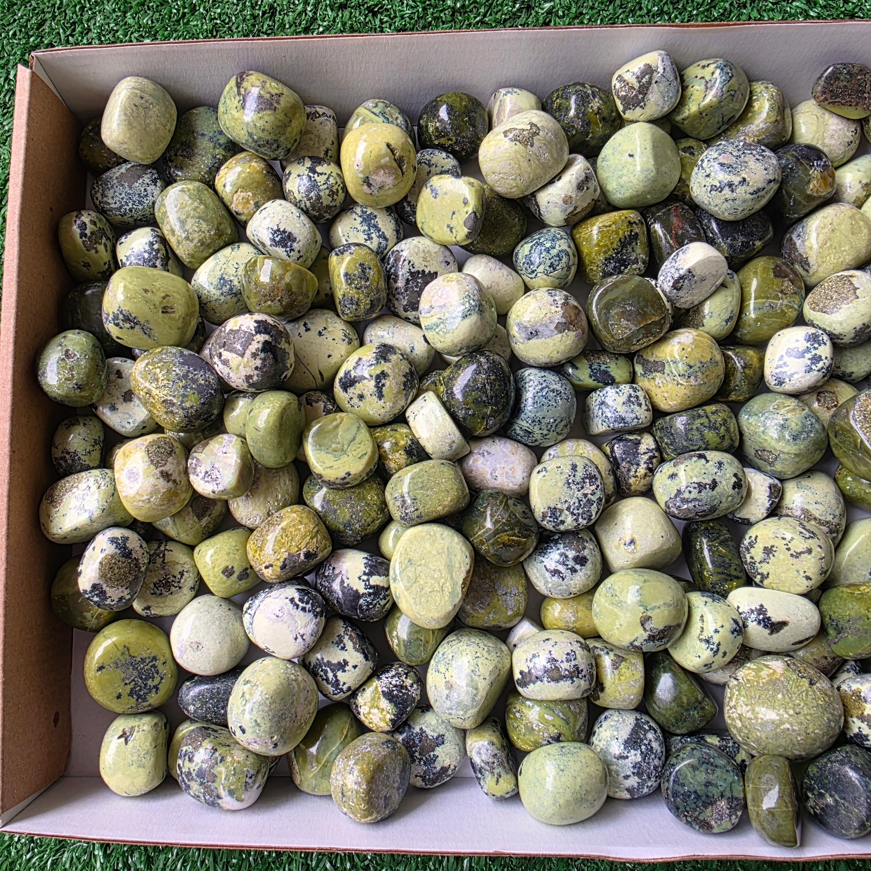 Lot 3 kg Serpentine tumbled