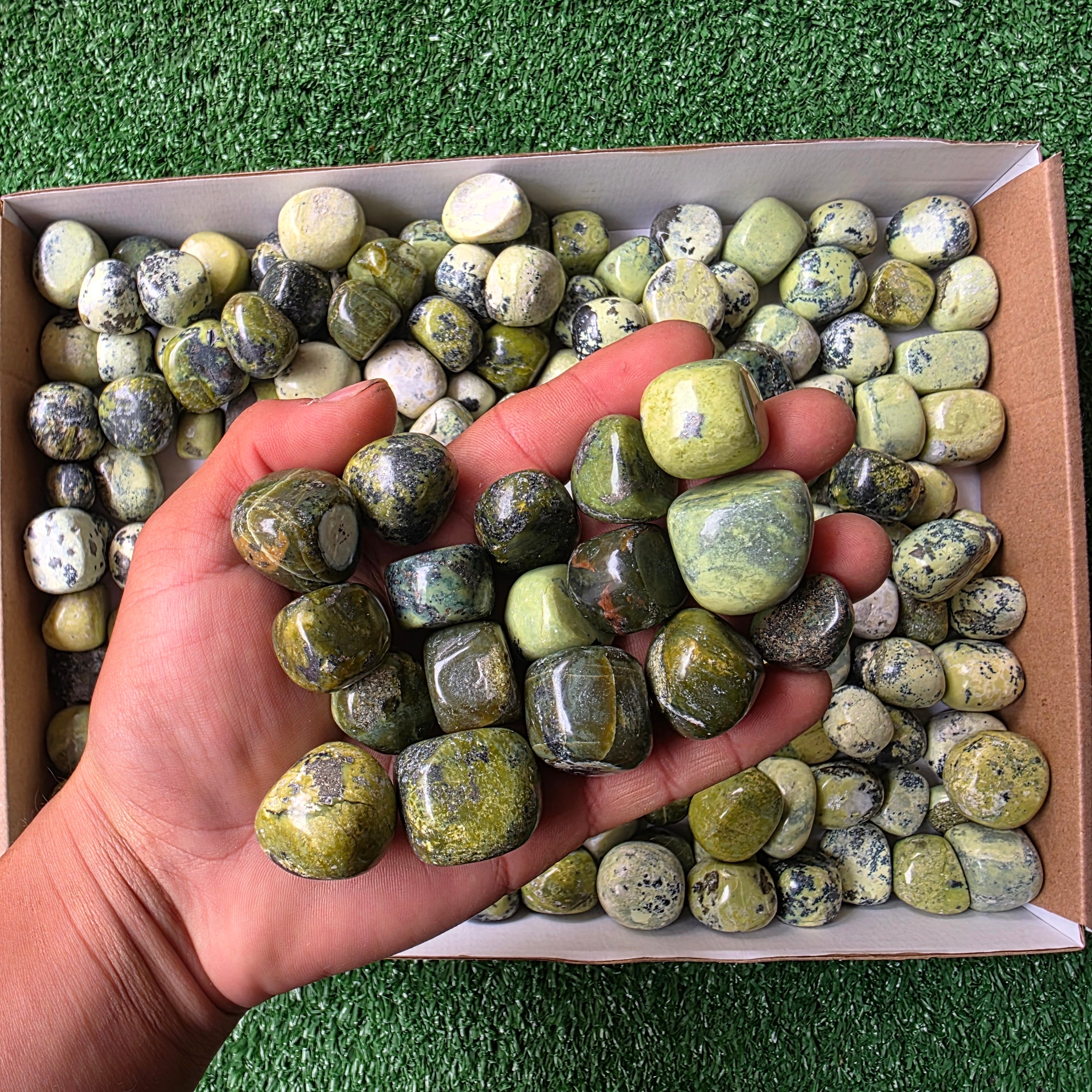 Lot 3 kg Serpentine tumbled