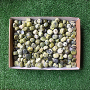 Lot 3 kg Serpentine tumbled