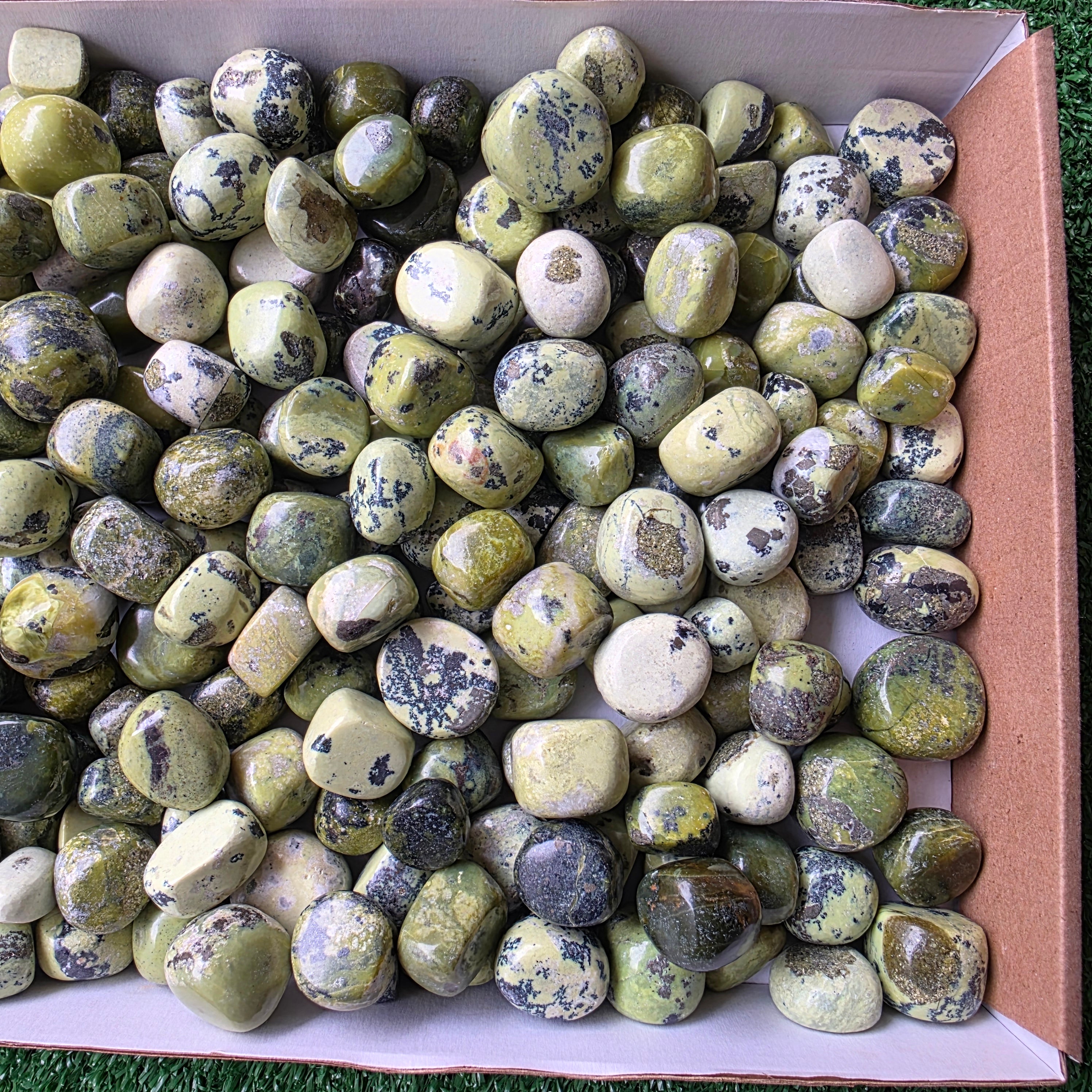 Lot 3 kg Serpentine tumbled