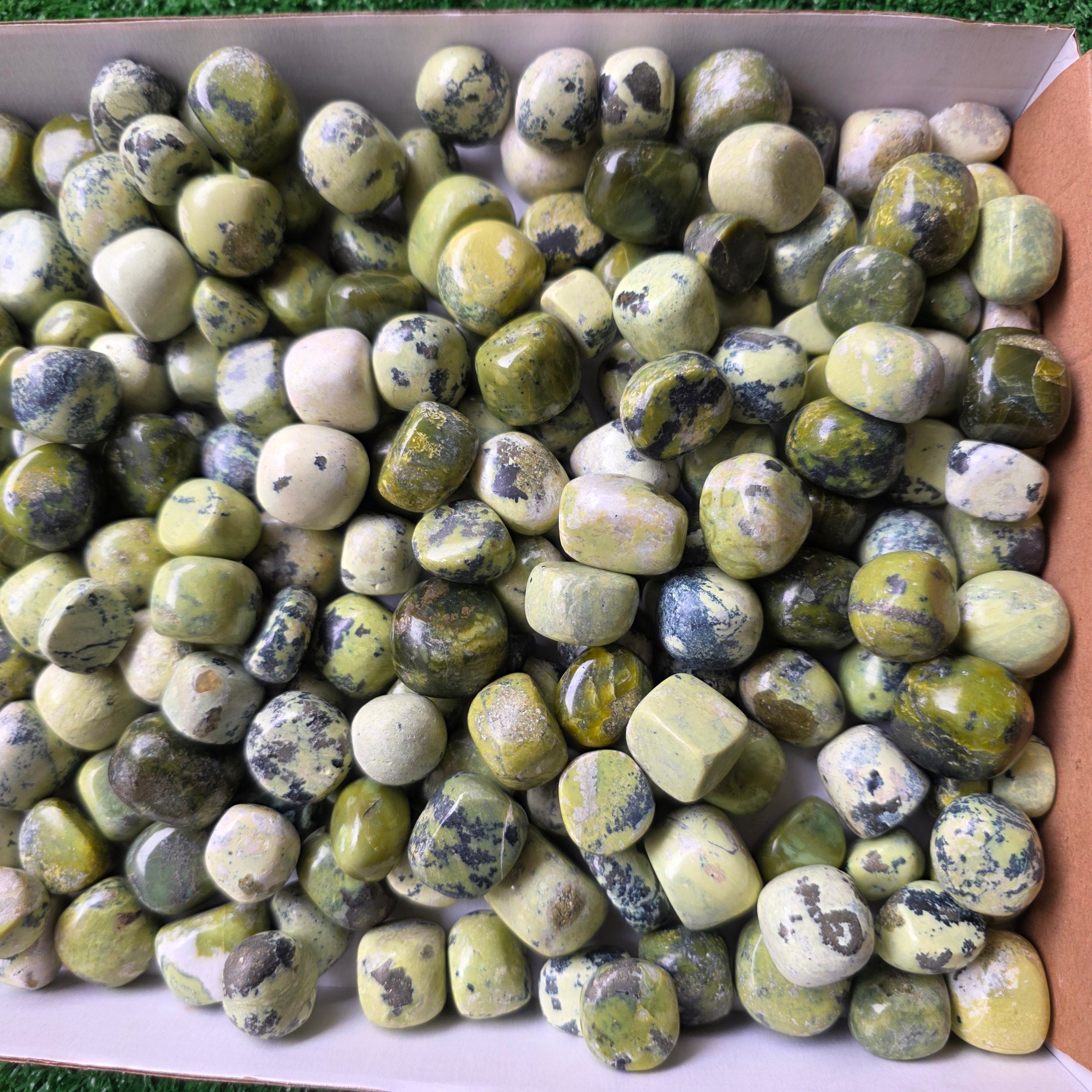 Lot 3 kg Serpentine tumbled