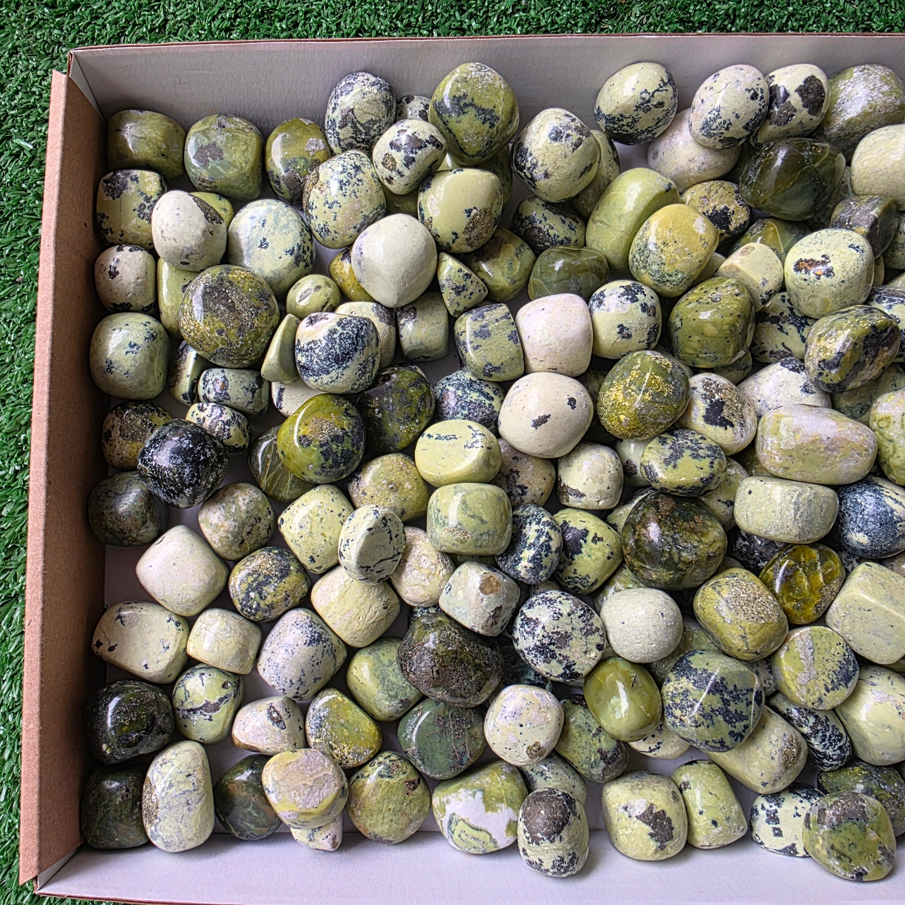 Lot 3 kg Serpentine tumbled