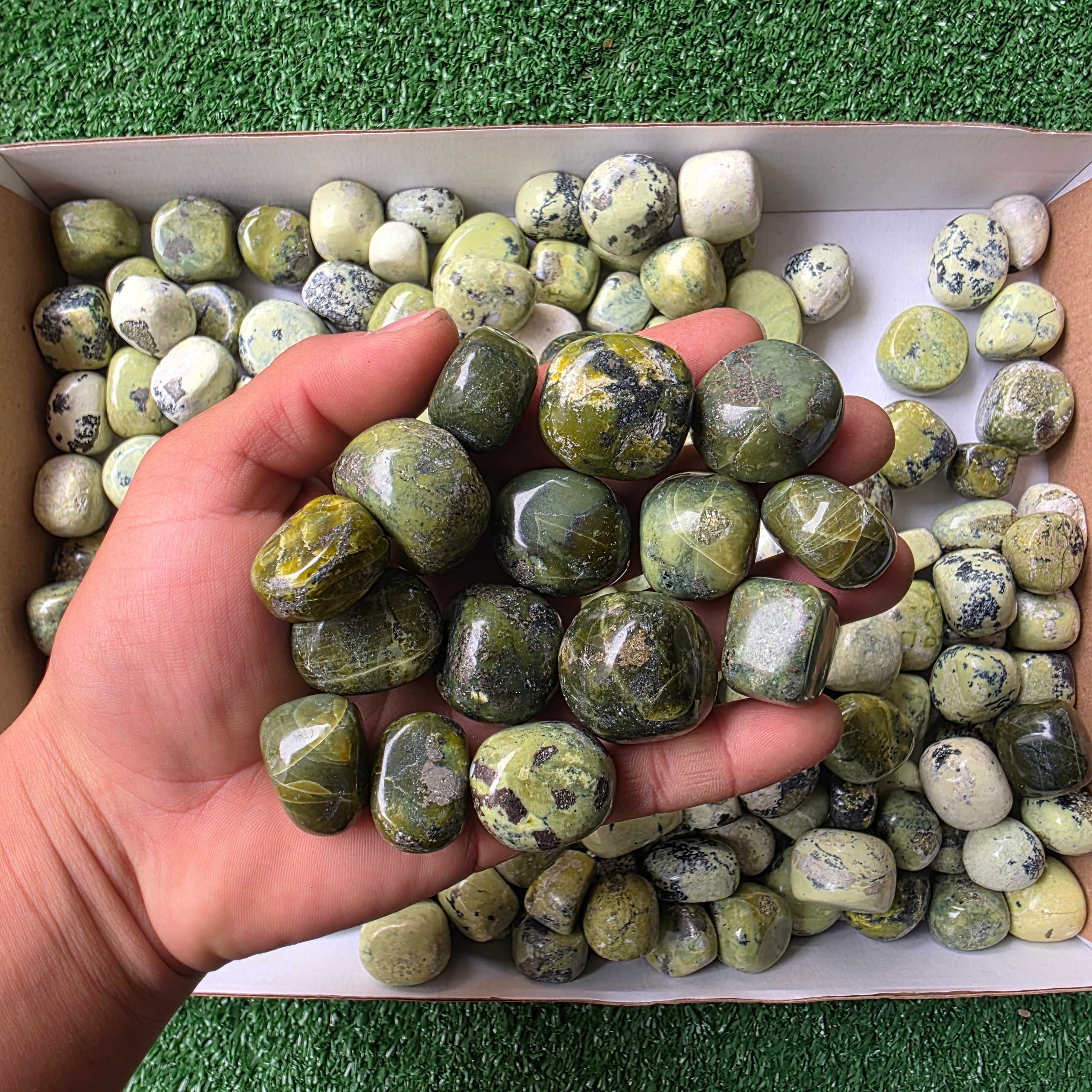 Lot 3 kg Serpentine tumbled