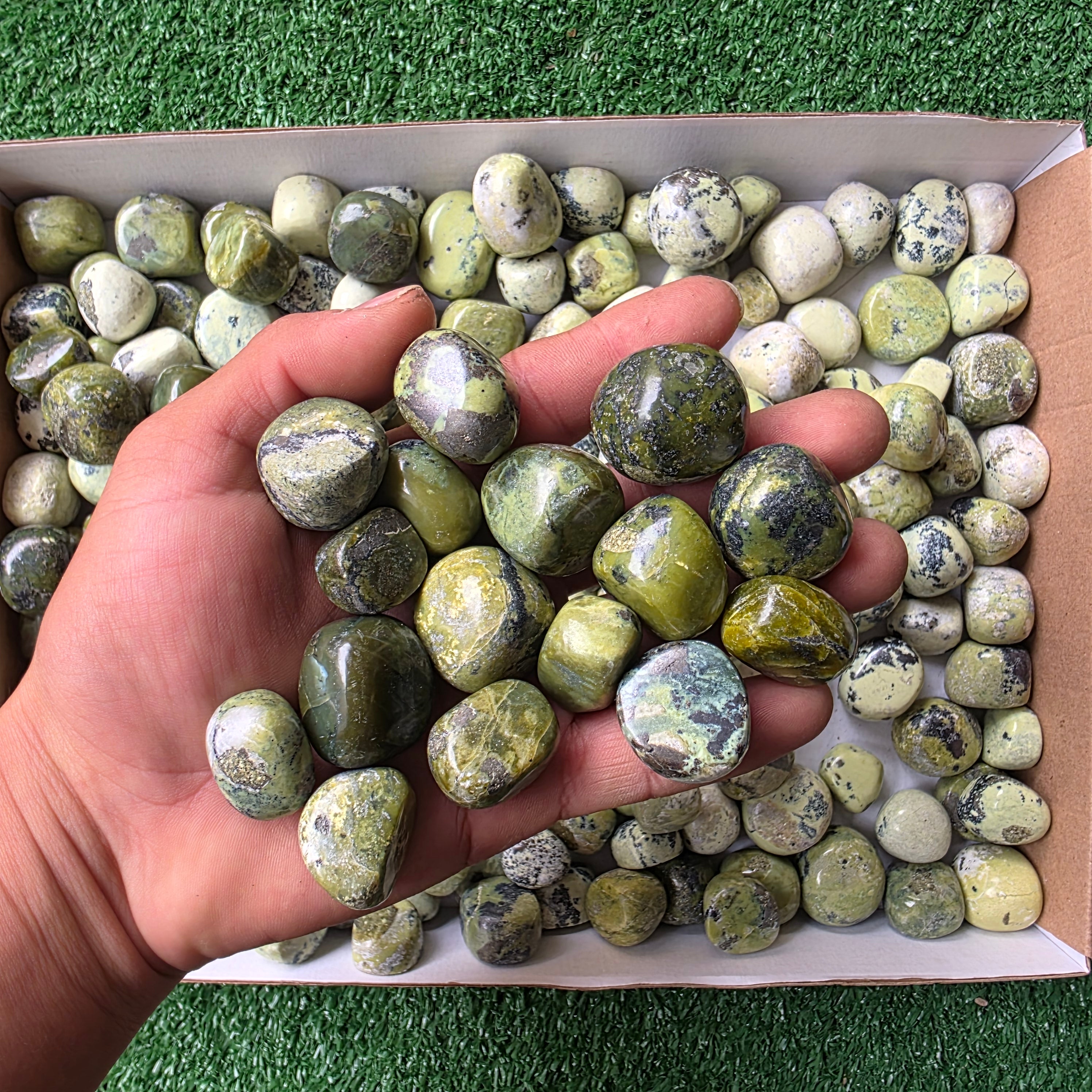 Lot 3 kg Serpentine tumbled