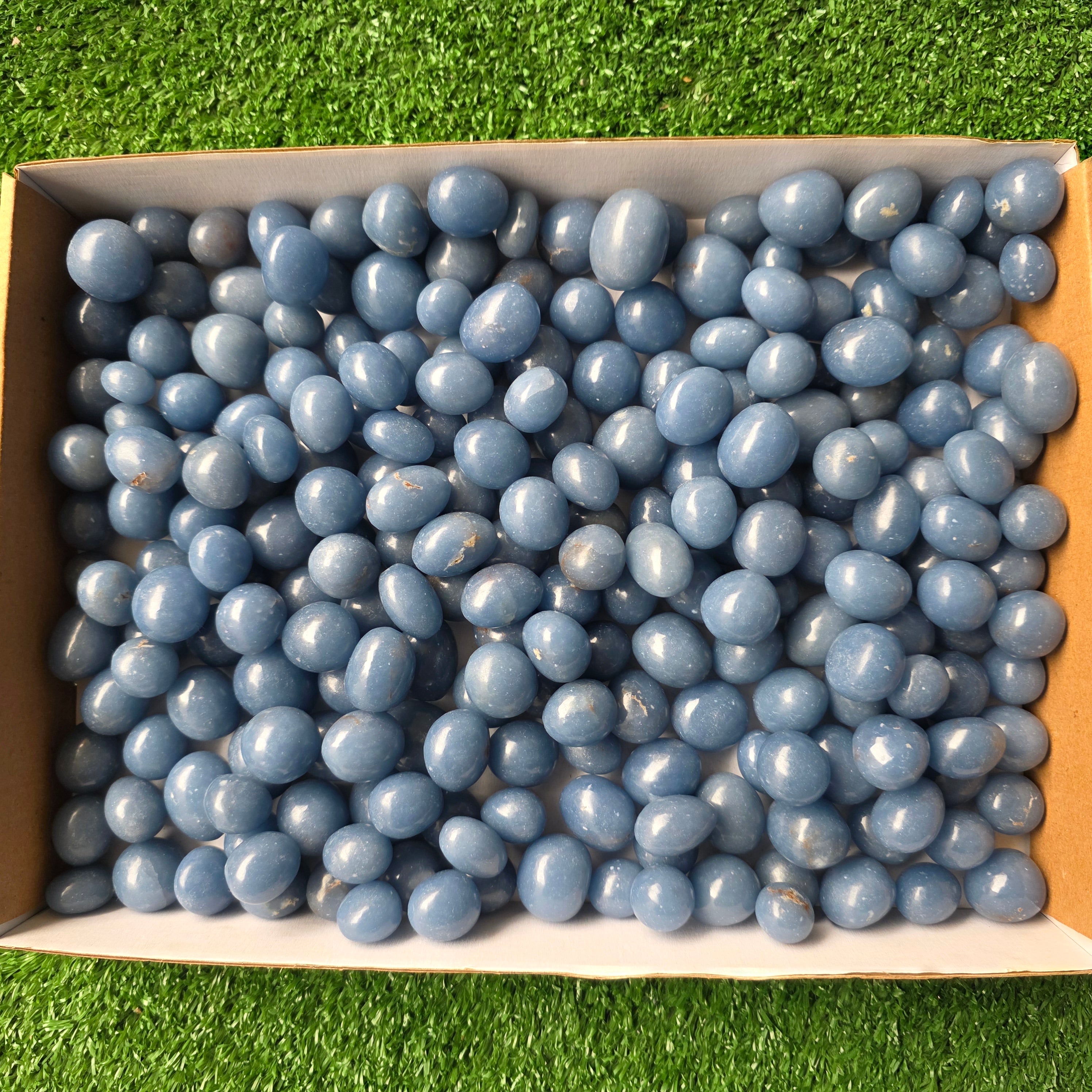 Lot 3 kg Angelite tumbled