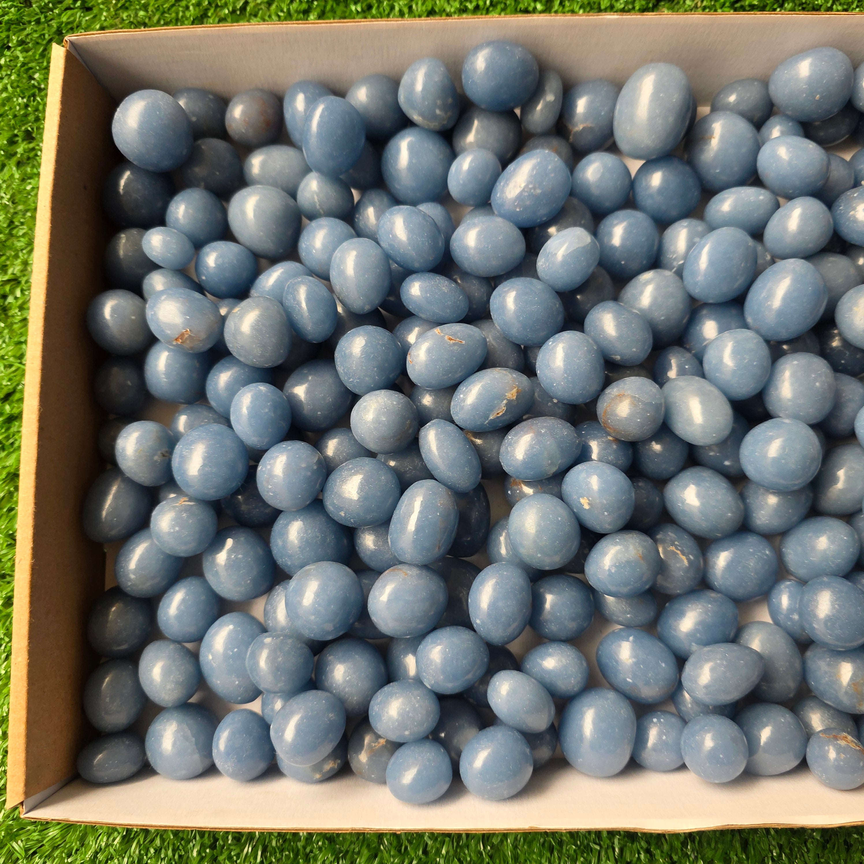 Lot 3 kg Angelite tumbled