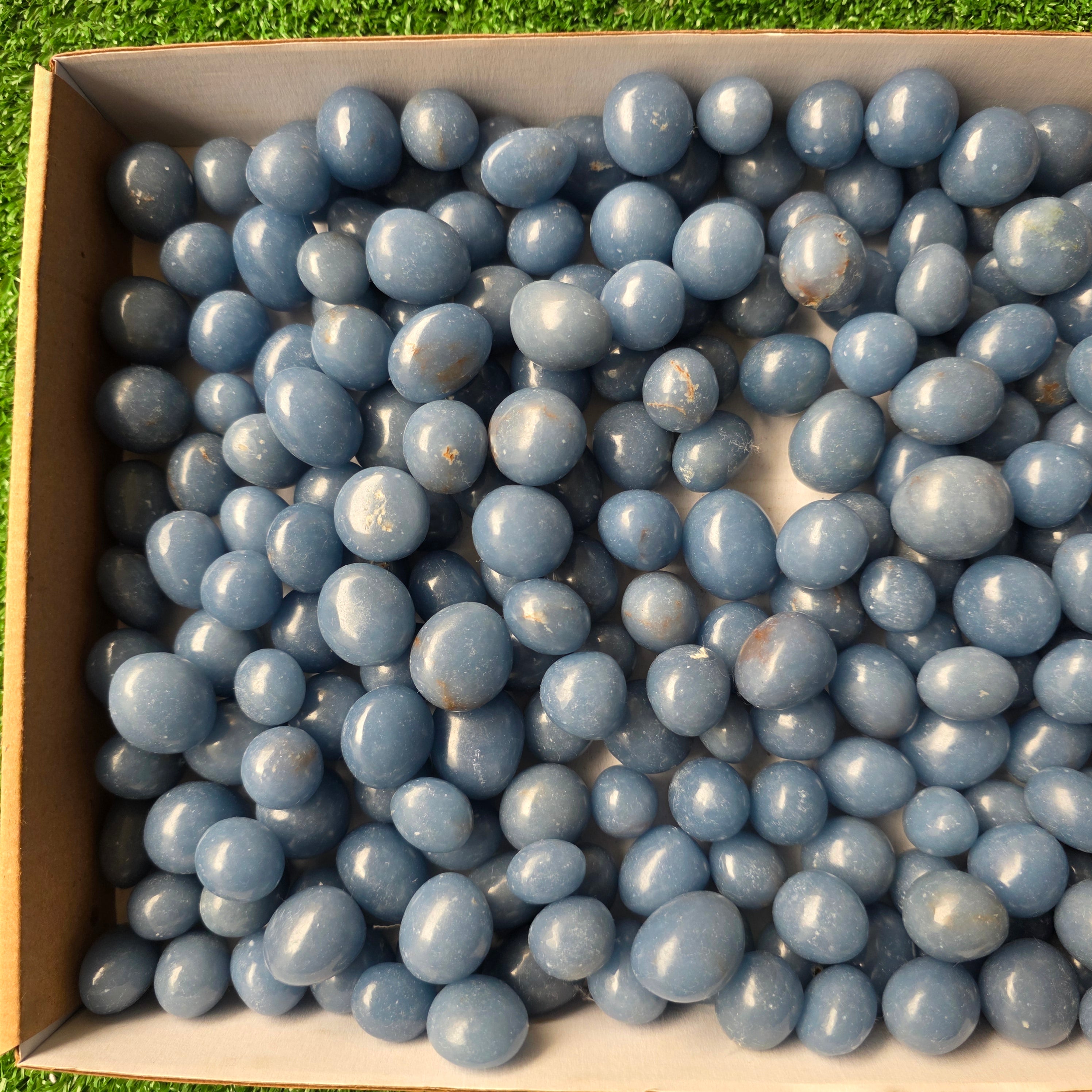 Lot 3 kg Angelite tumbled