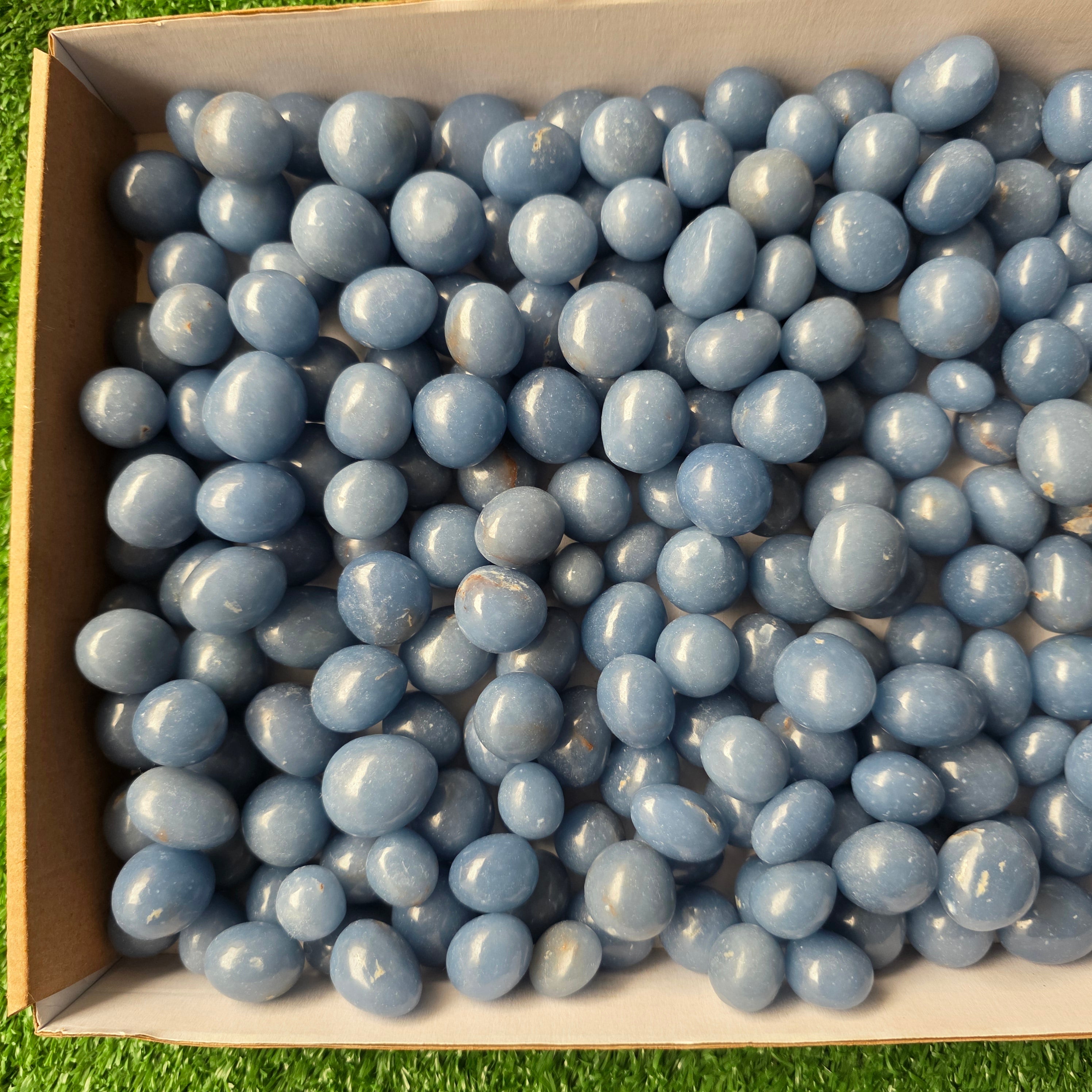 Lot 3 kg Angelite tumbled