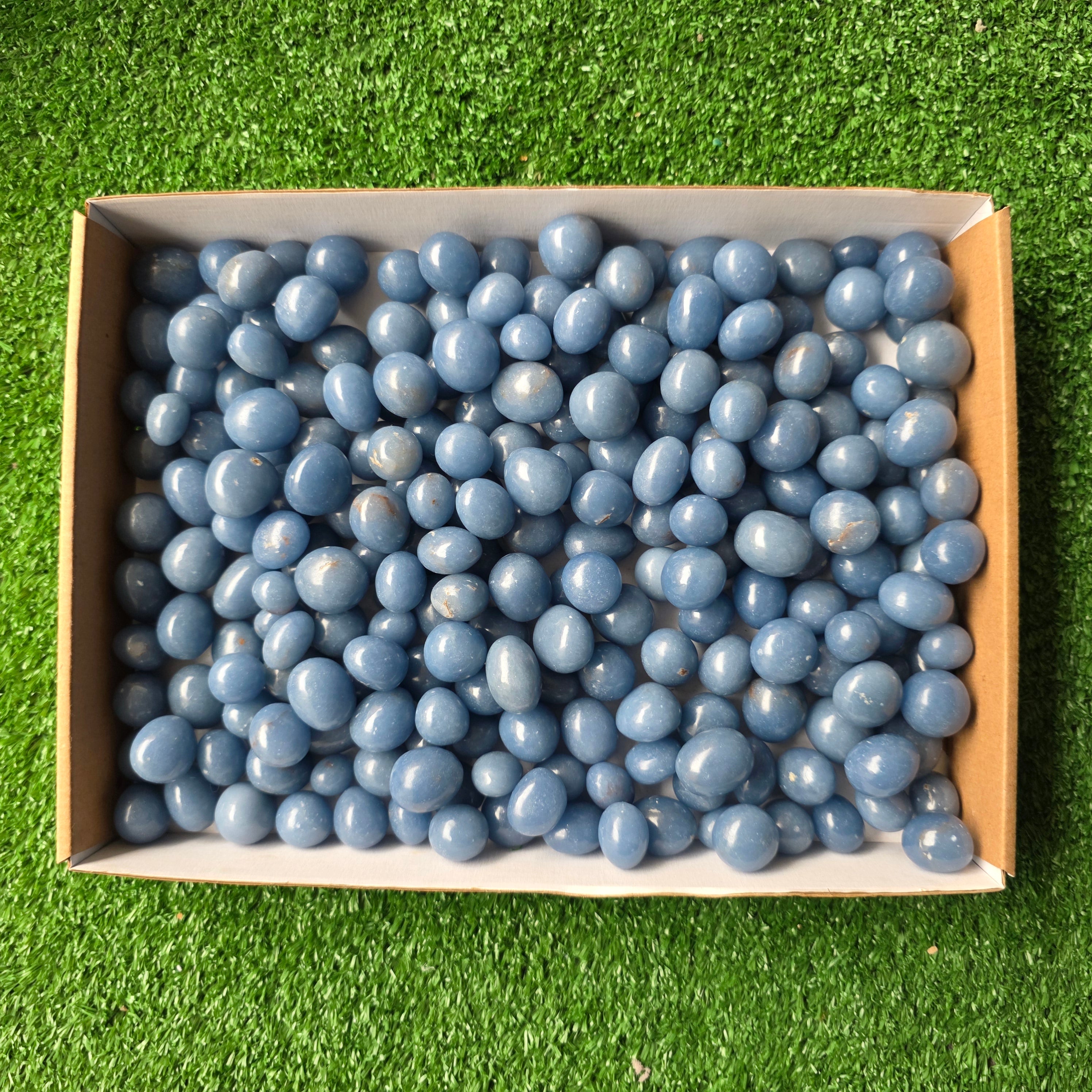 Lot 3 kg Angelite tumbled