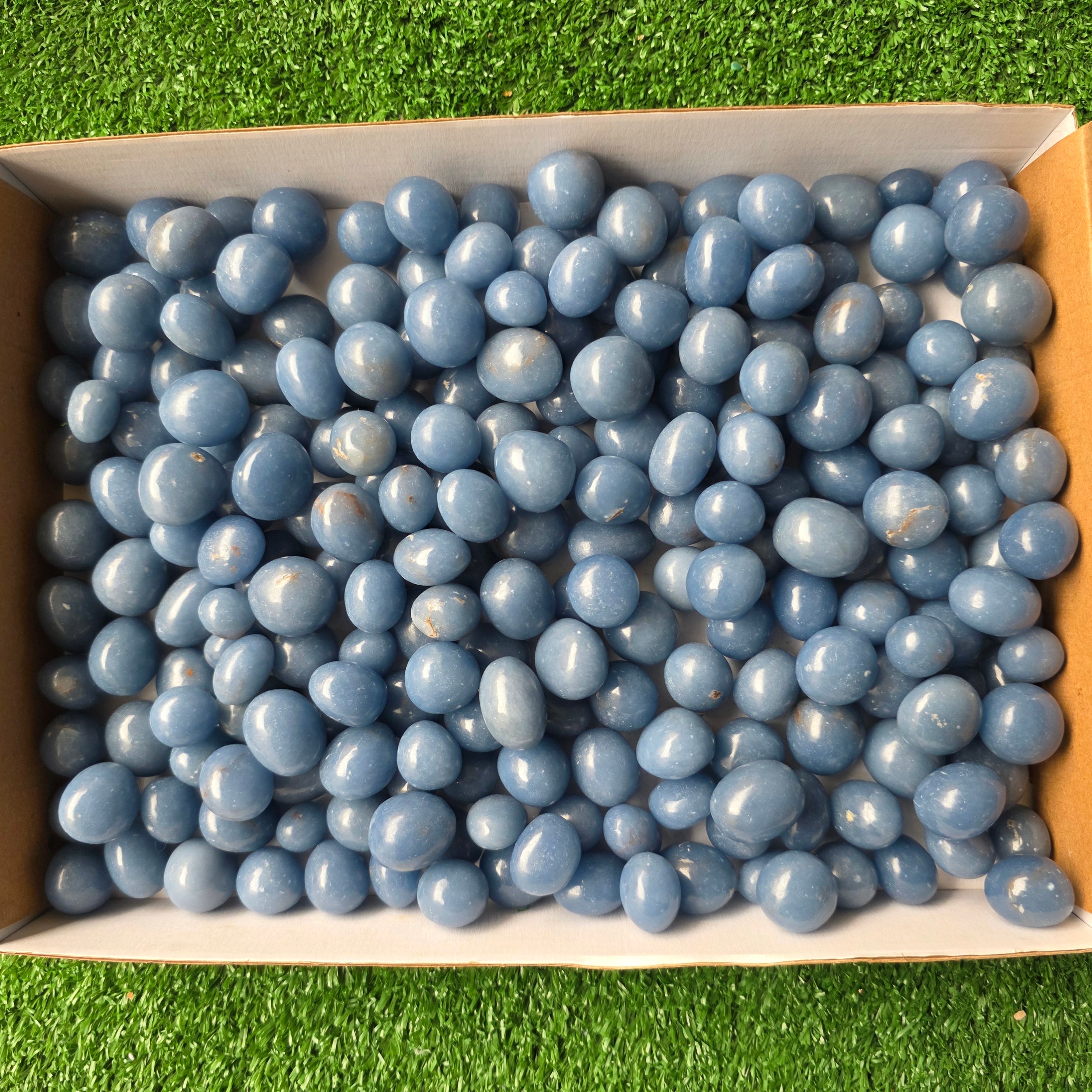 Lot 3 kg Angelite tumbled