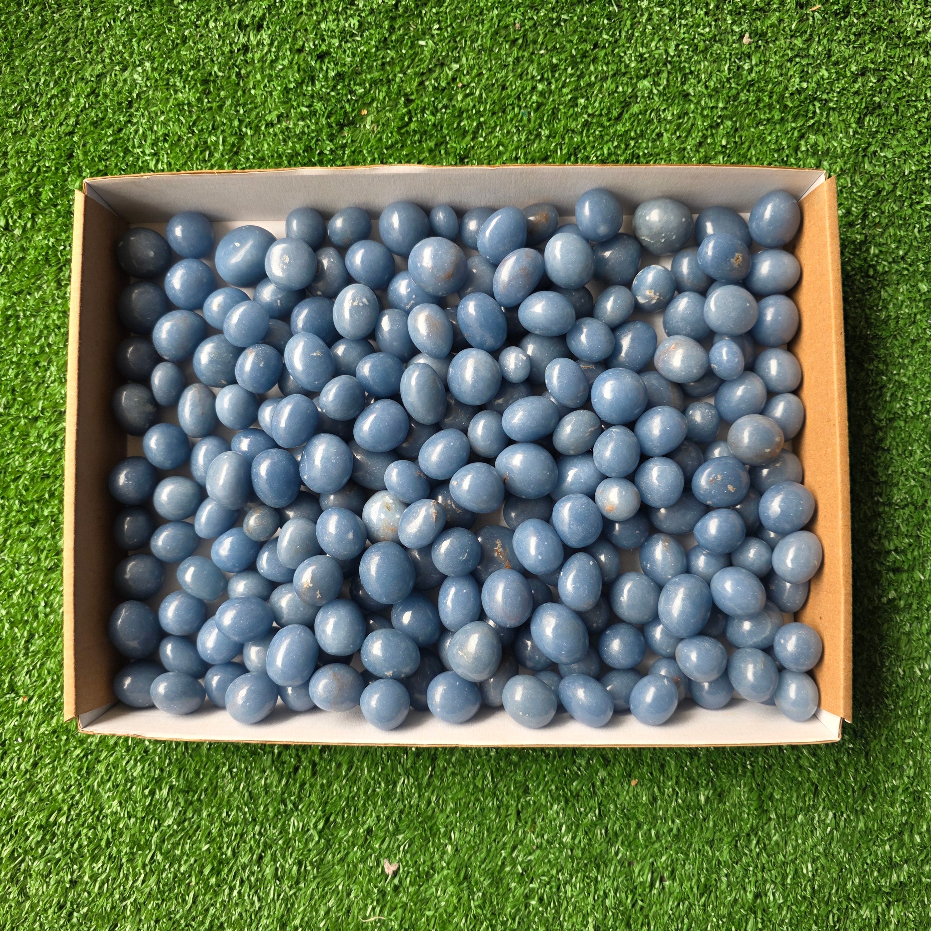 Lot 3 kg Angelite tumbled