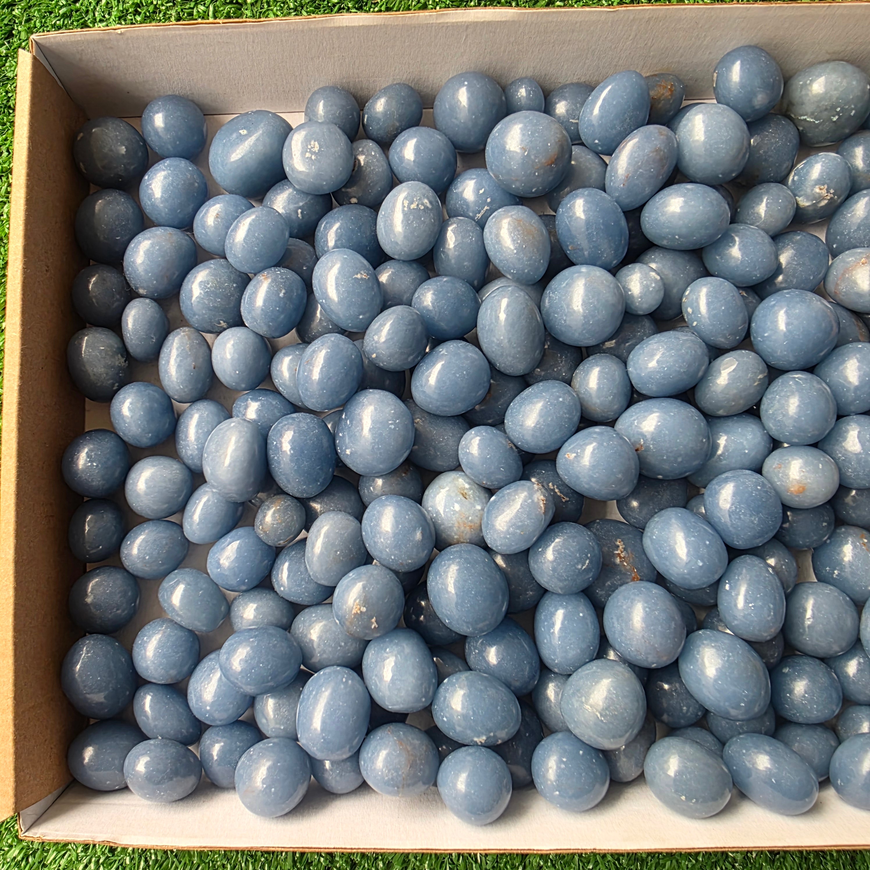 Lot 3 kg Angelite tumbled