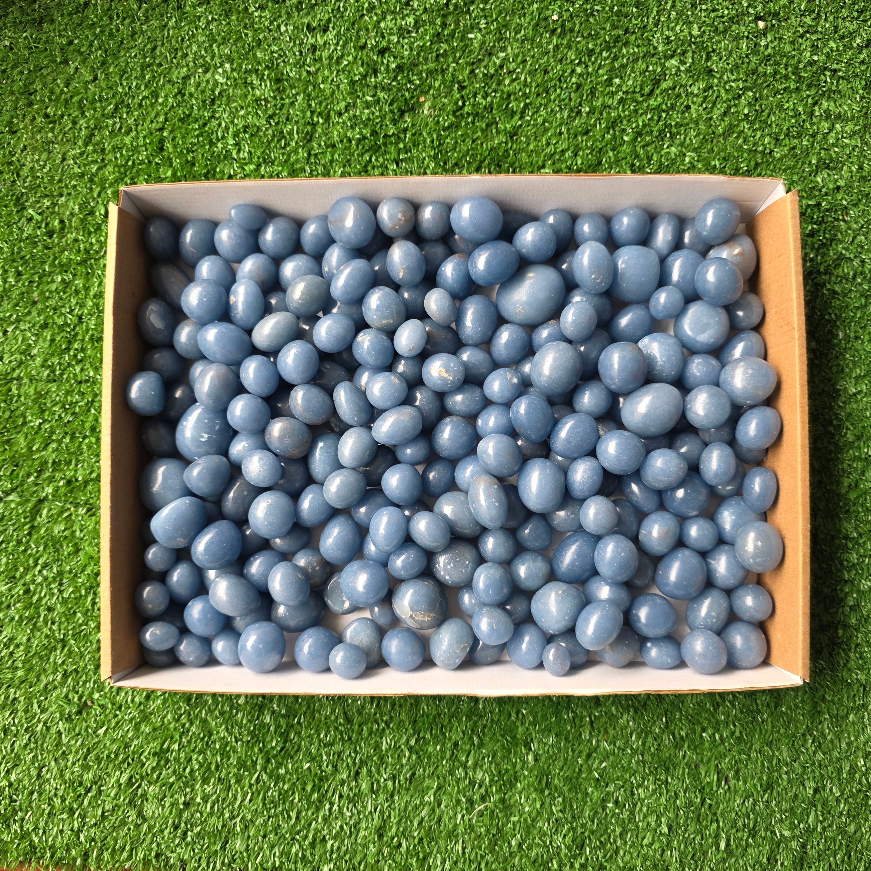 Lot 3 kg Angelite tumbled