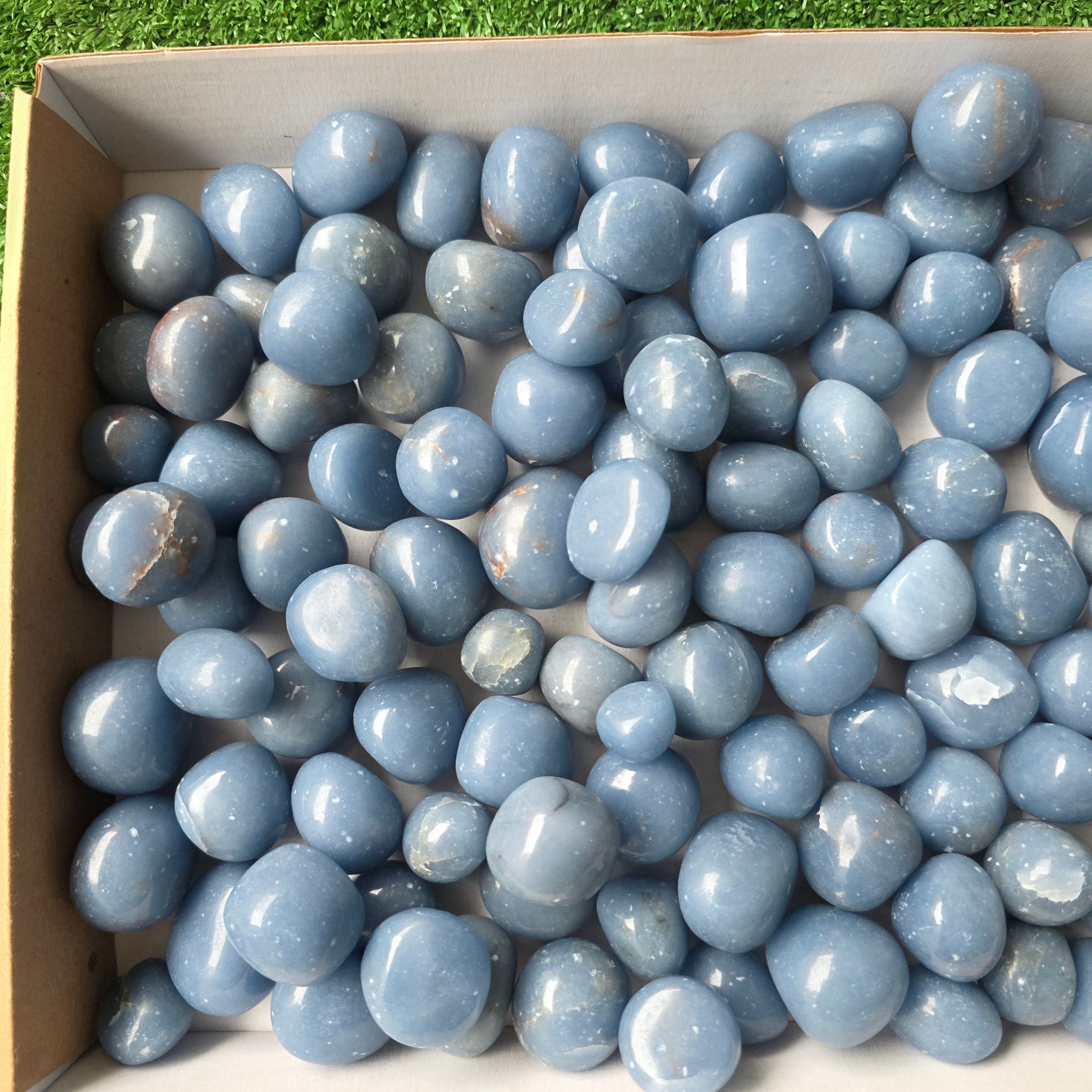 Lot 3 kg Angelite tumbled