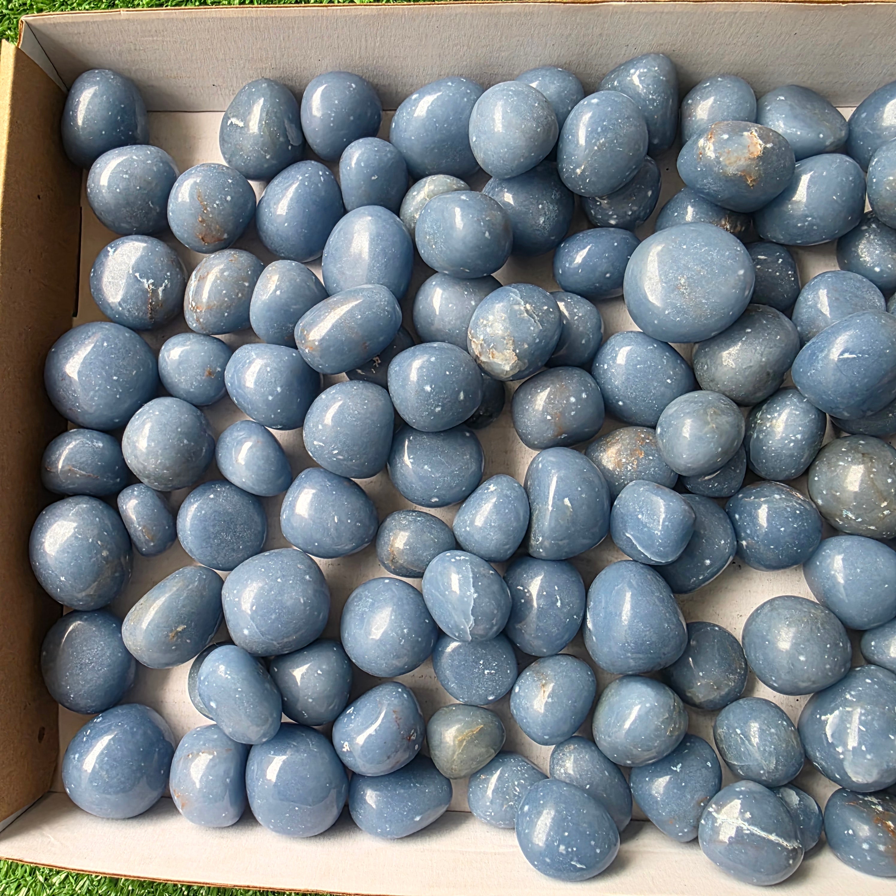 Lot 3 kg Angelite tumbled