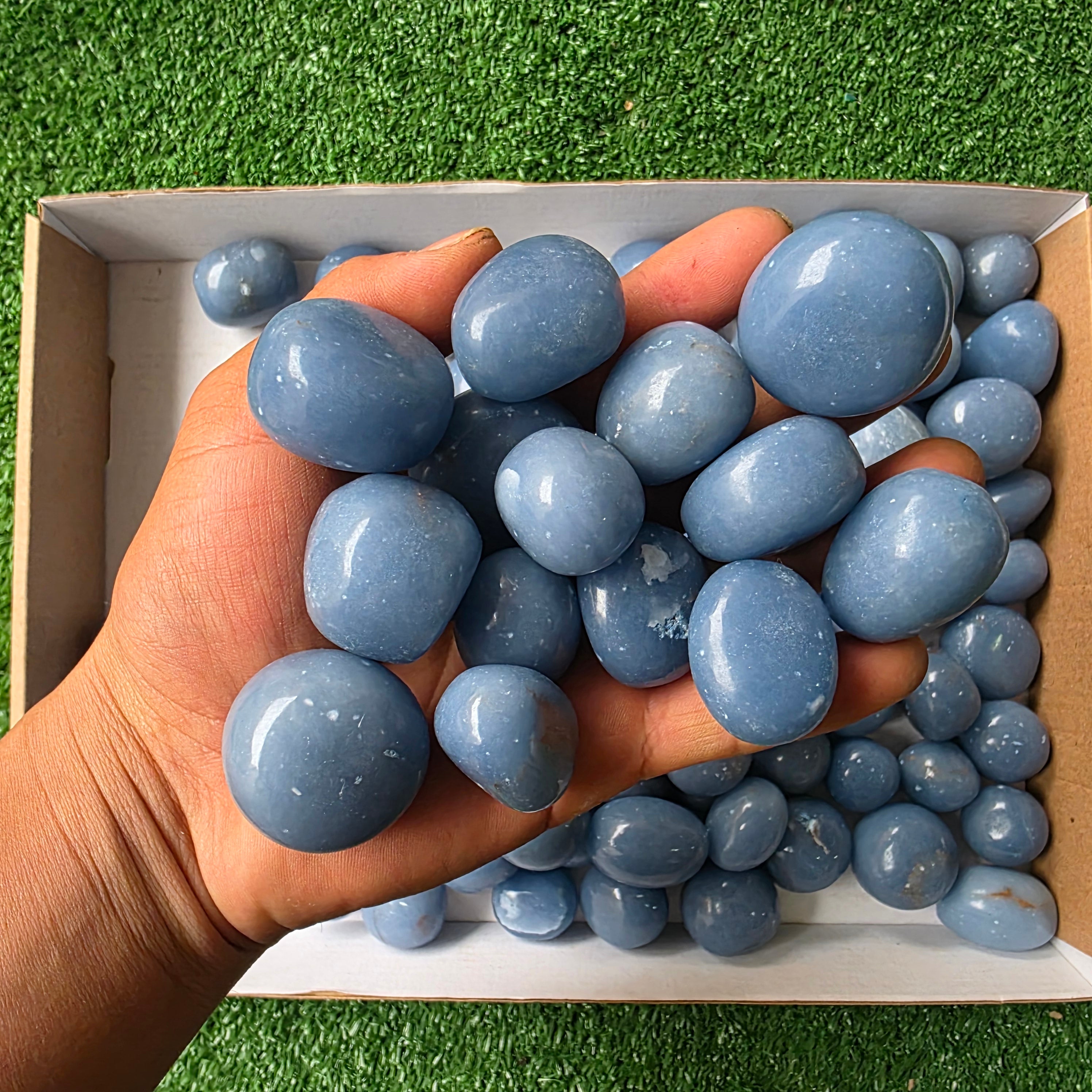 Lot 3 kg Angelite tumbled