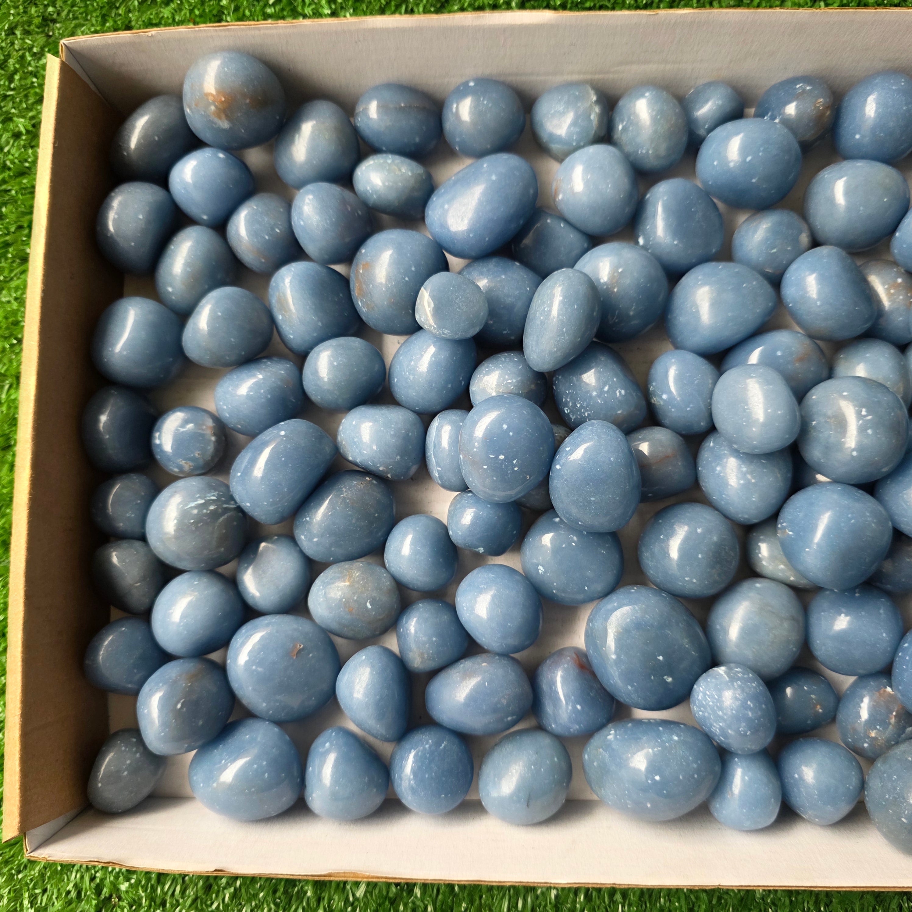 Lot 3 kg Angelite tumbled