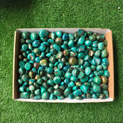 Lot 3 kg Chrysocolla tumbled