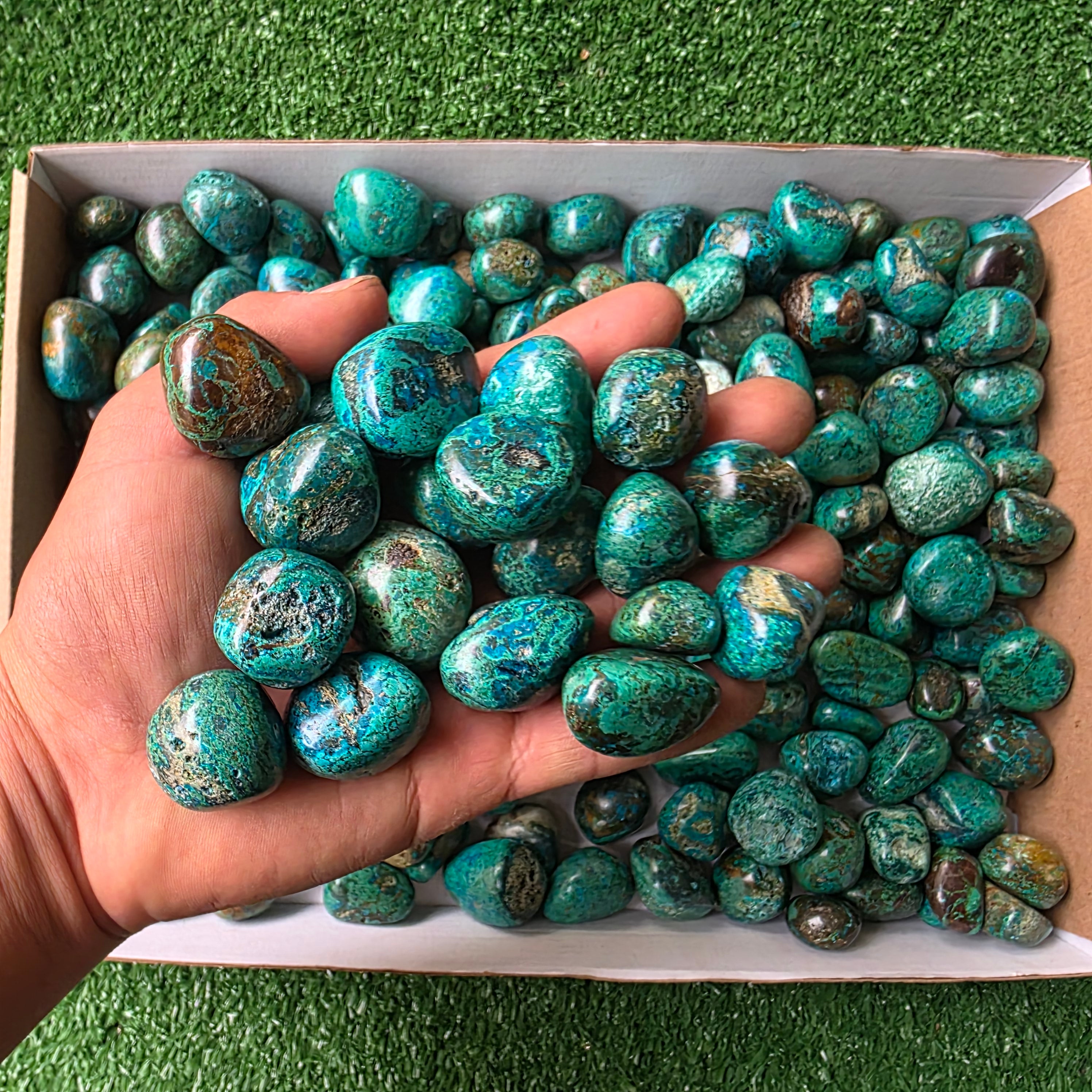 Lot 3 kg Chrysocolla tumbled