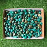 Lot 3 kg Chrysocolla tumbled