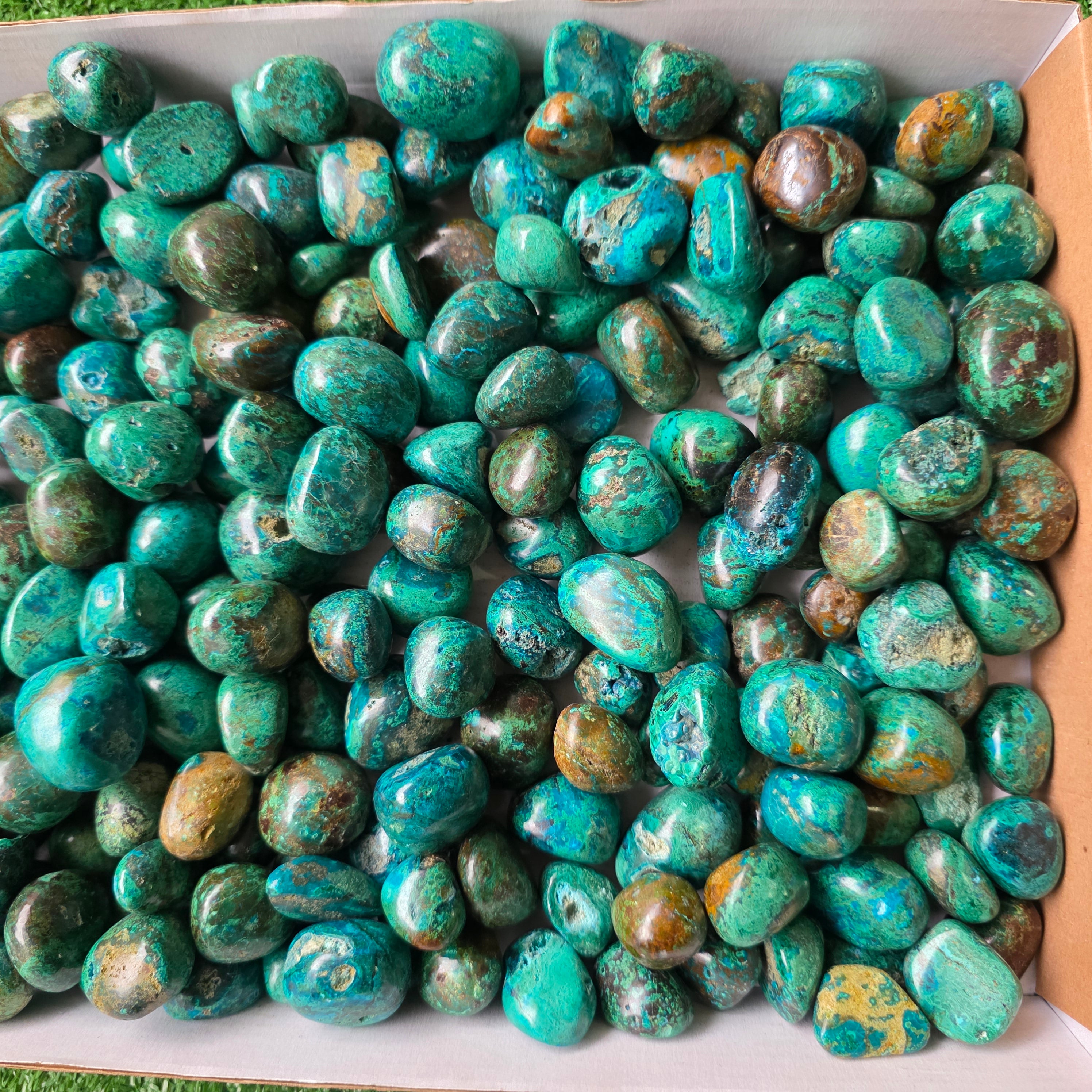 Lot 3 kg Chrysocolla tumbled