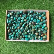 Lot 3 kg Chrysocolla tumbled