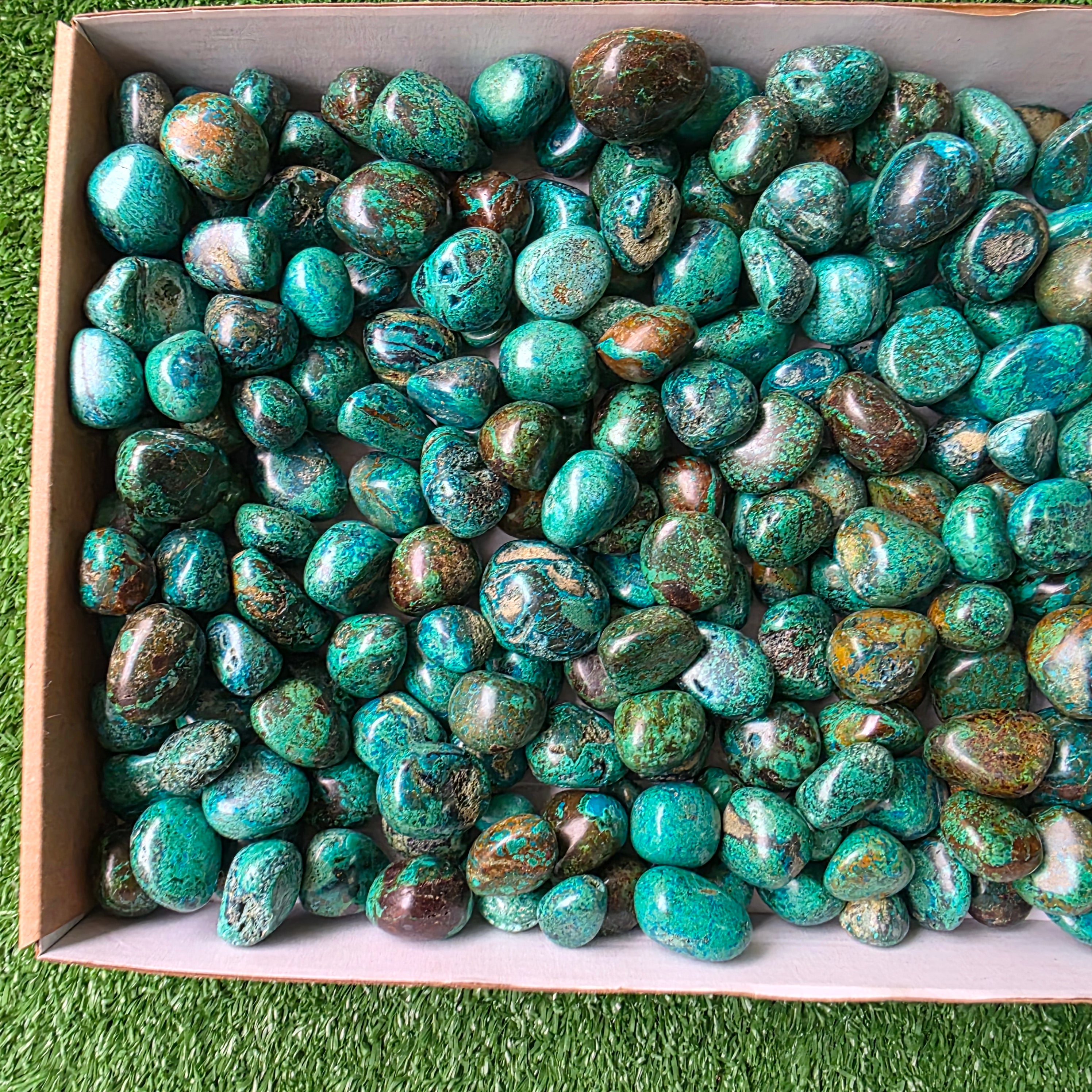 Lot 3 kg Chrysocolla tumbled