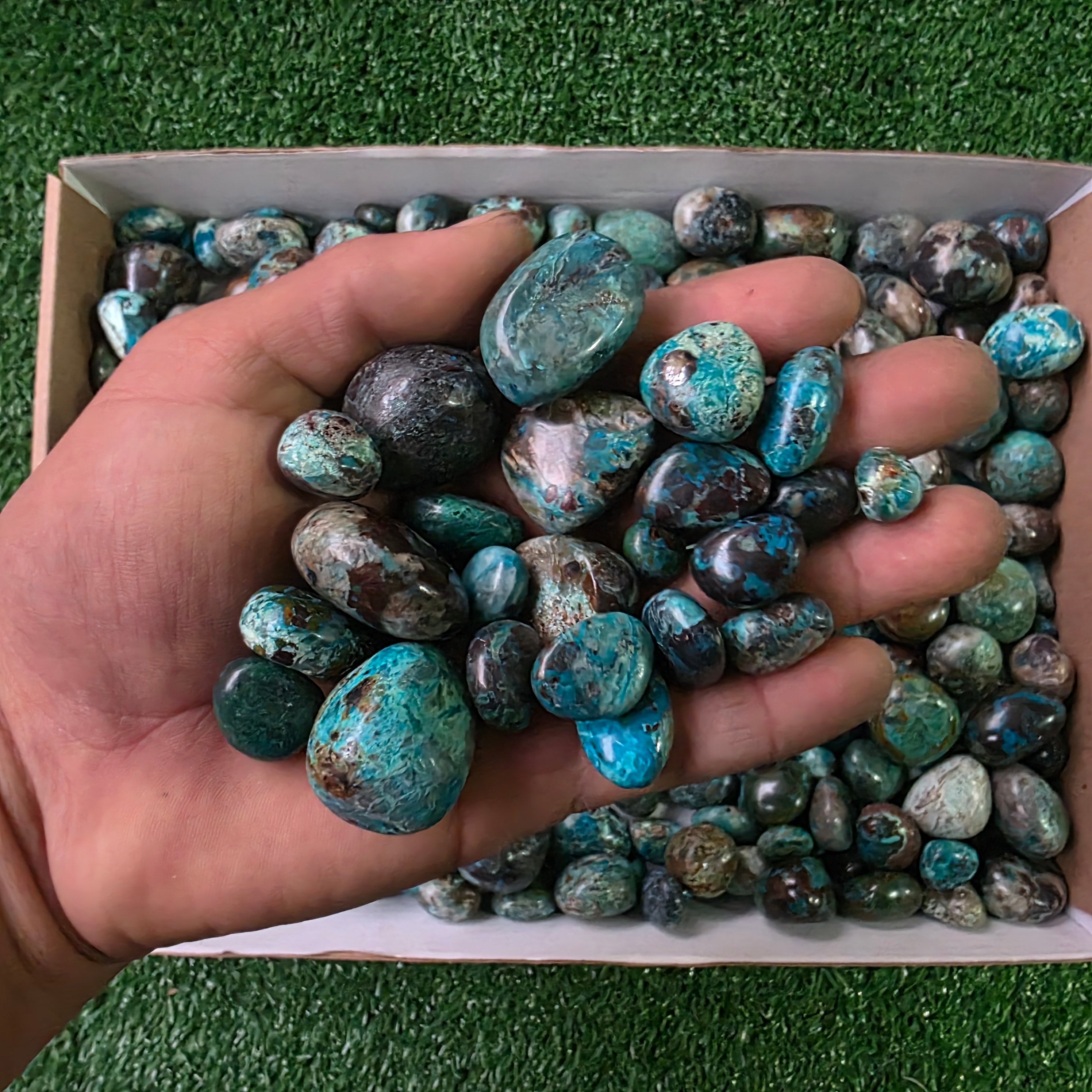 Lot 3 kg Chrysocolla tumbled
