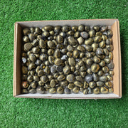 Lot 3 kg Chalcopyrite tumbled