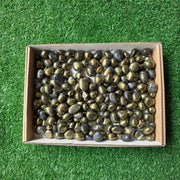 Lot 3 kg Chalcopyrite tumbled