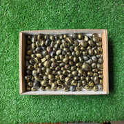 Lot 3 kg Chalcopyrite tumbled