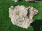 Lot 1 piece calcite fluorescent**