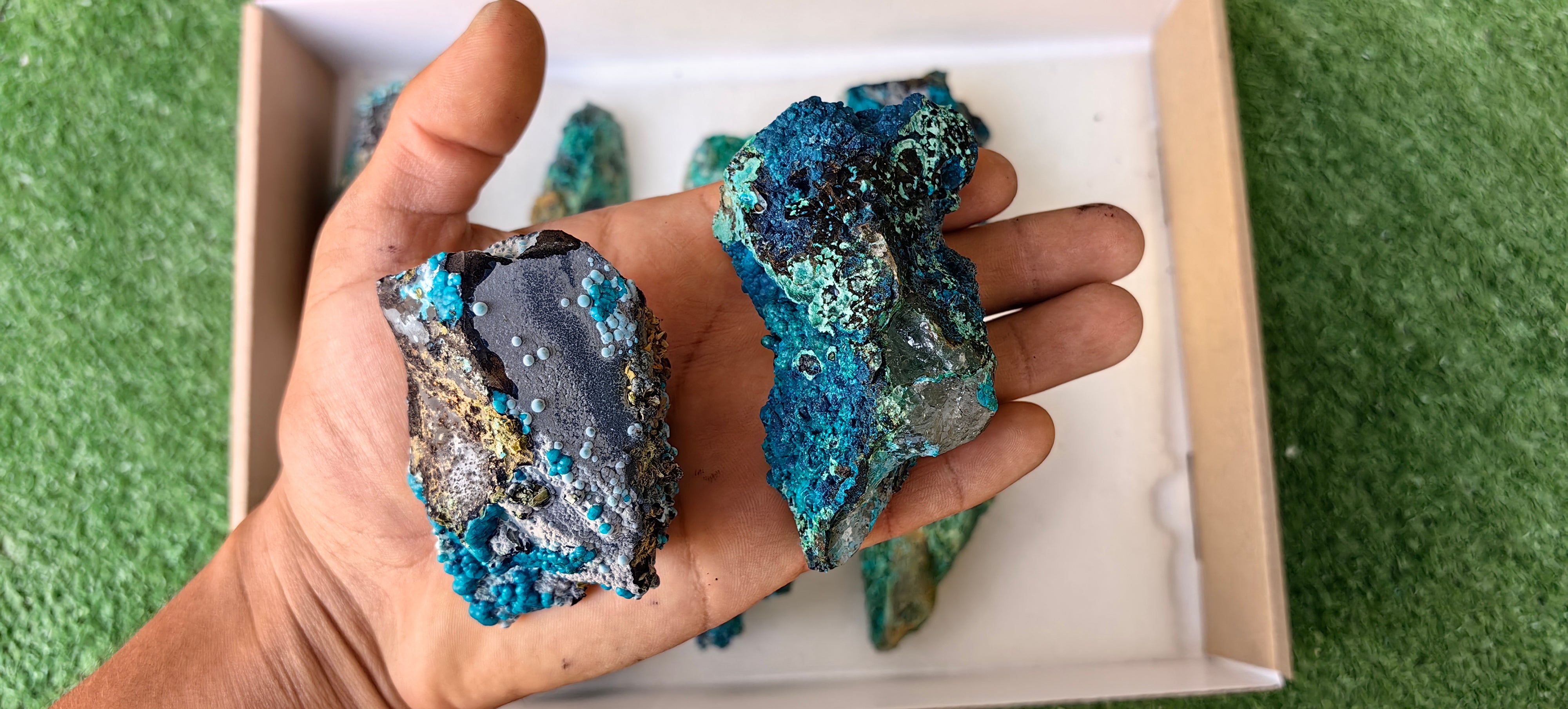 Lot 10 Chrysocolla on Quartz