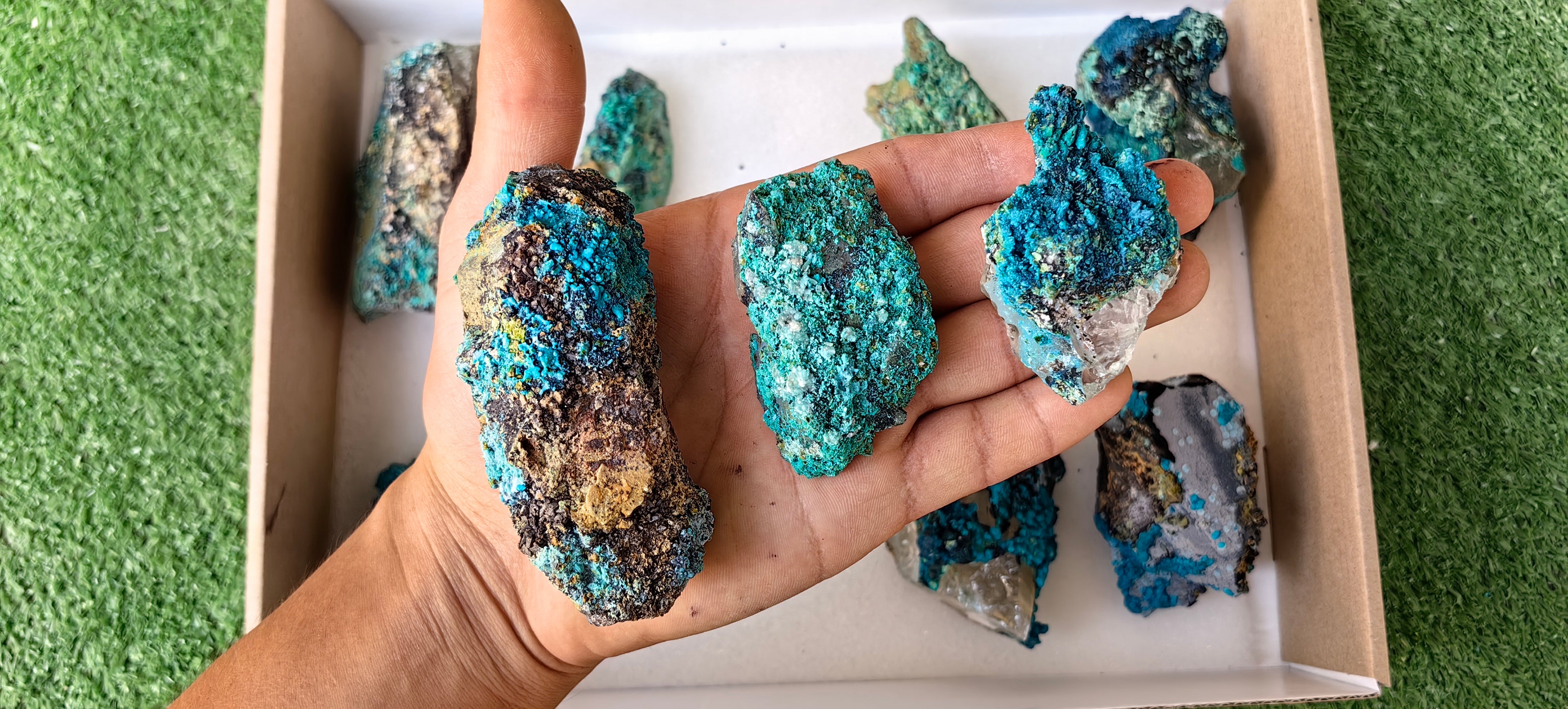 Lot 10 Chrysocolla on Quartz