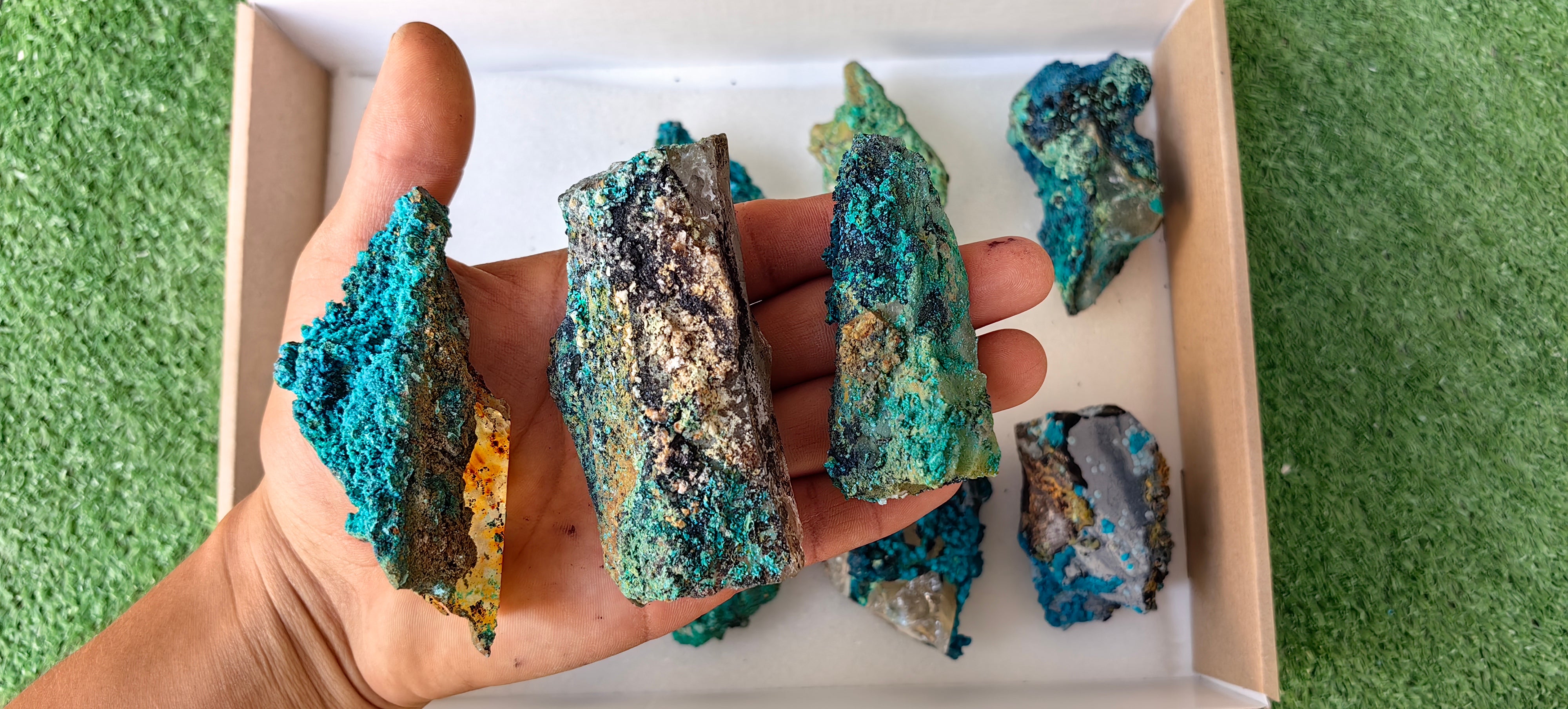 Lot 10 Chrysocolla on Quartz