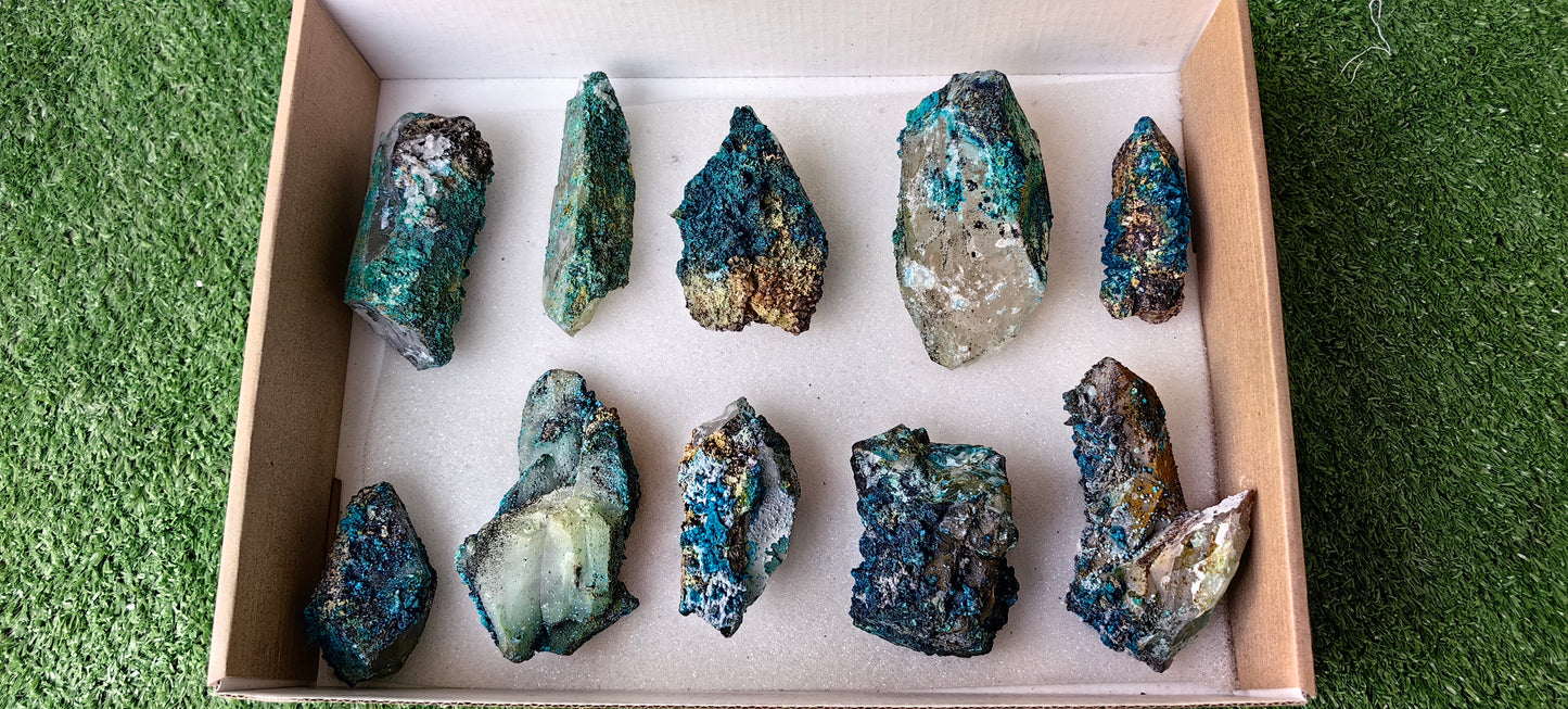 Lot 10 Chrysocolla on Quartz