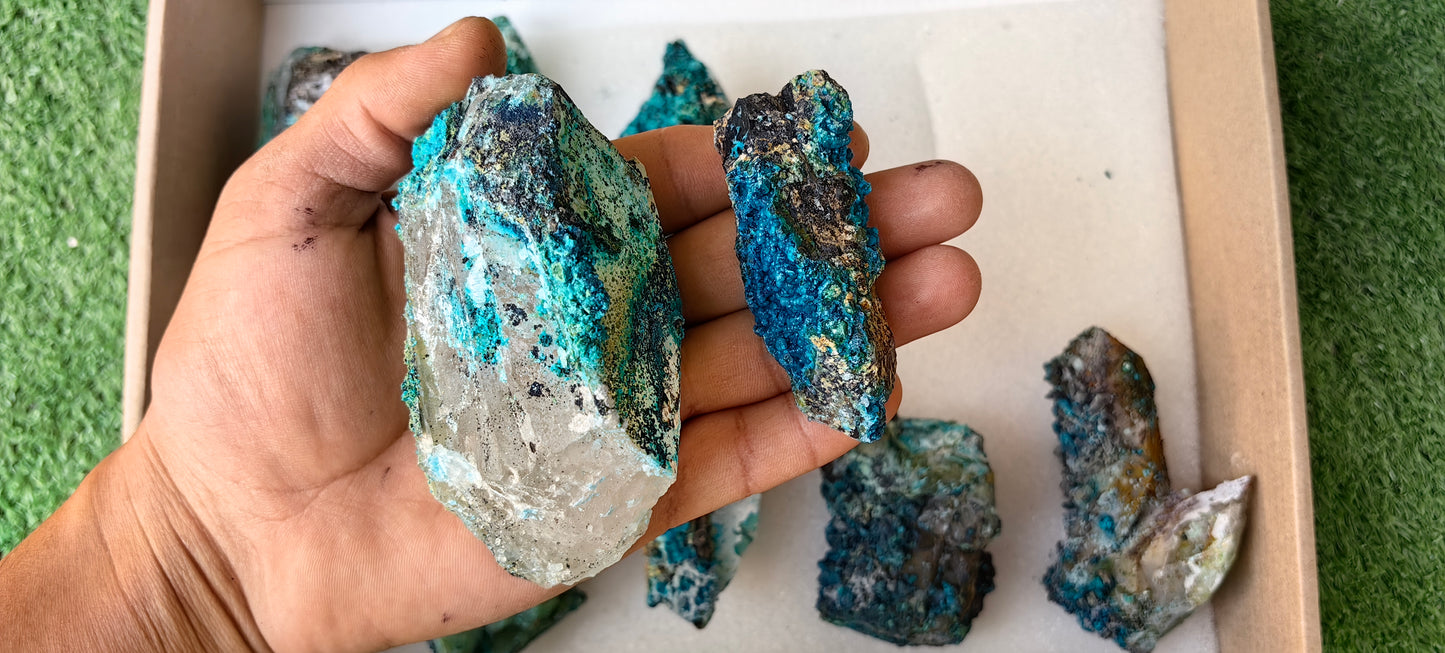 Lot 10 Chrysocolla on Quartz