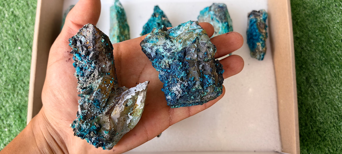 Lot 10 Chrysocolla on Quartz