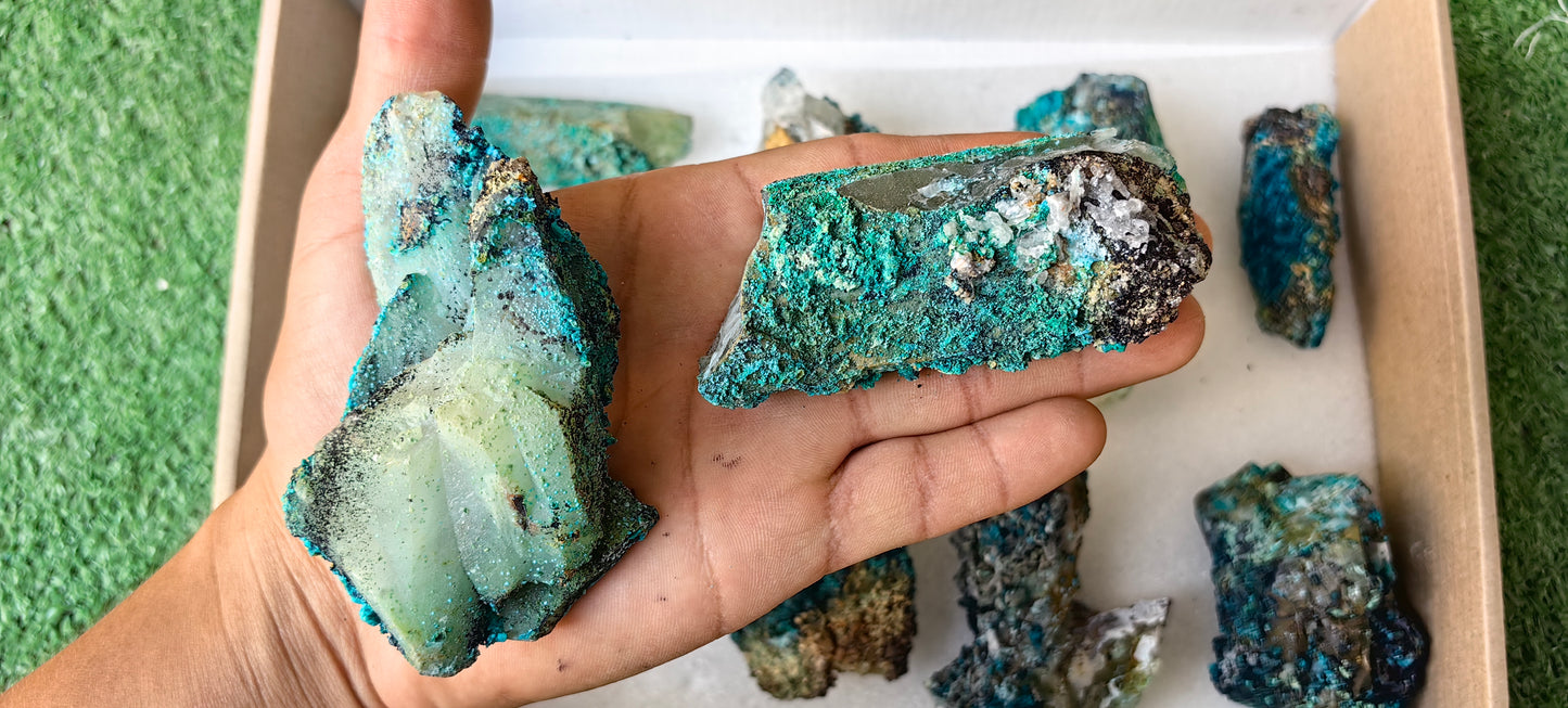 Lot 10 Chrysocolla on Quartz