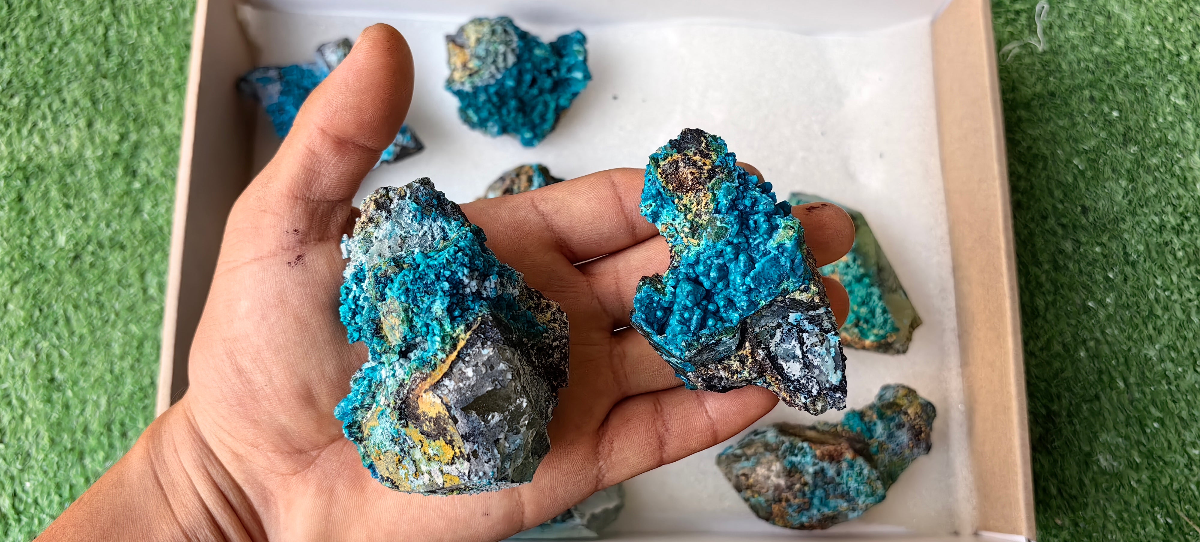 Lot 10 Chrysocolla on Quartz