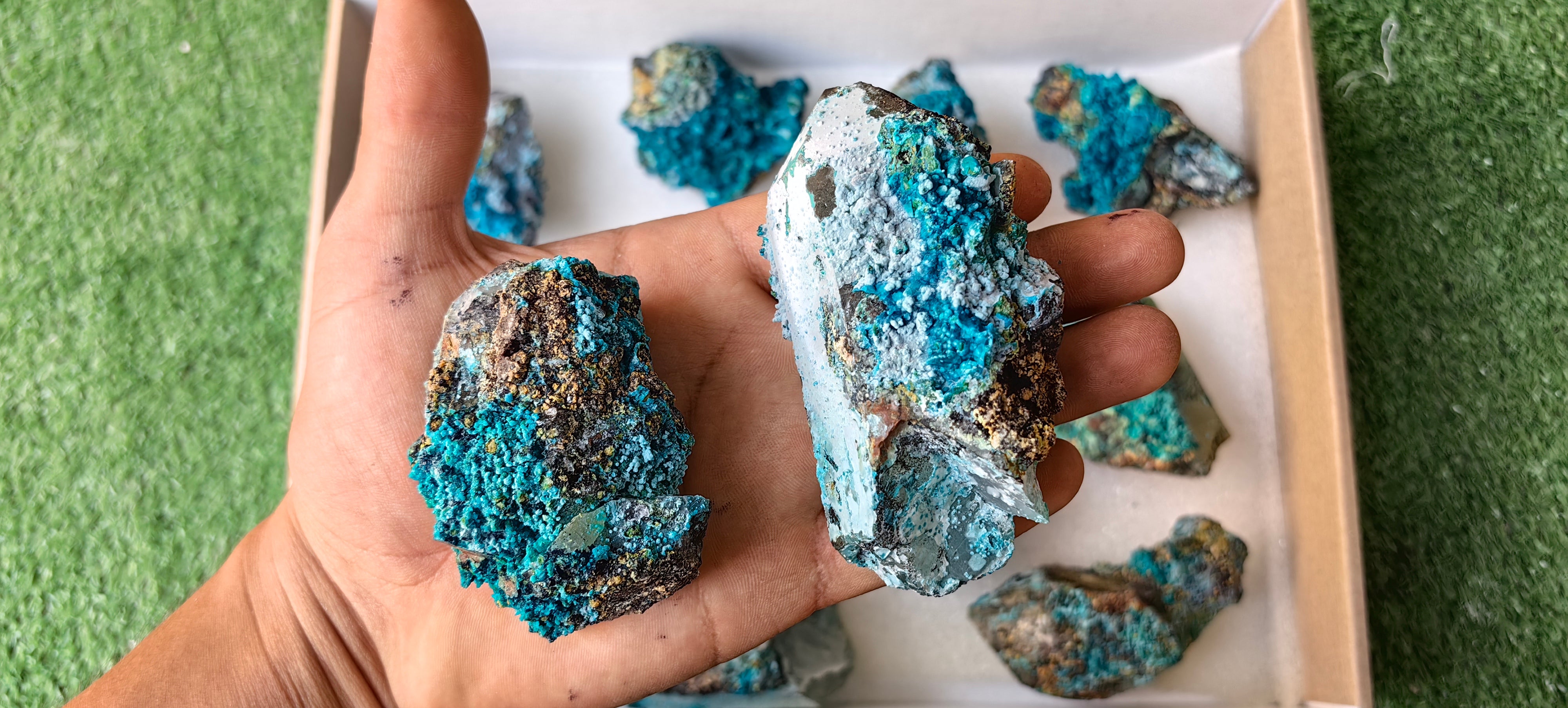 Lot 10 Chrysocolla on Quartz