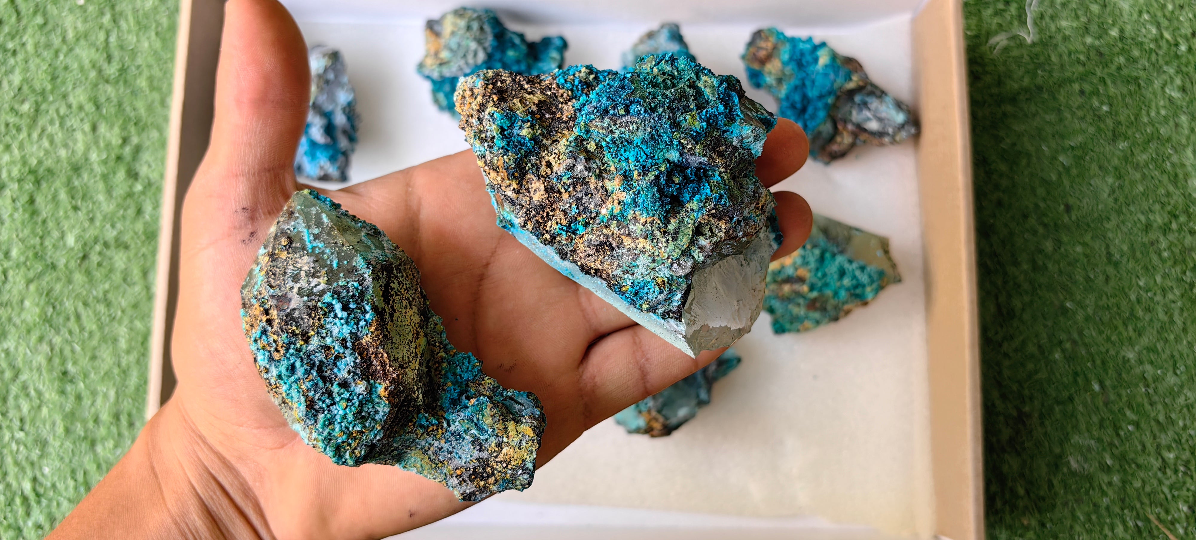 Lot 10 Chrysocolla on Quartz