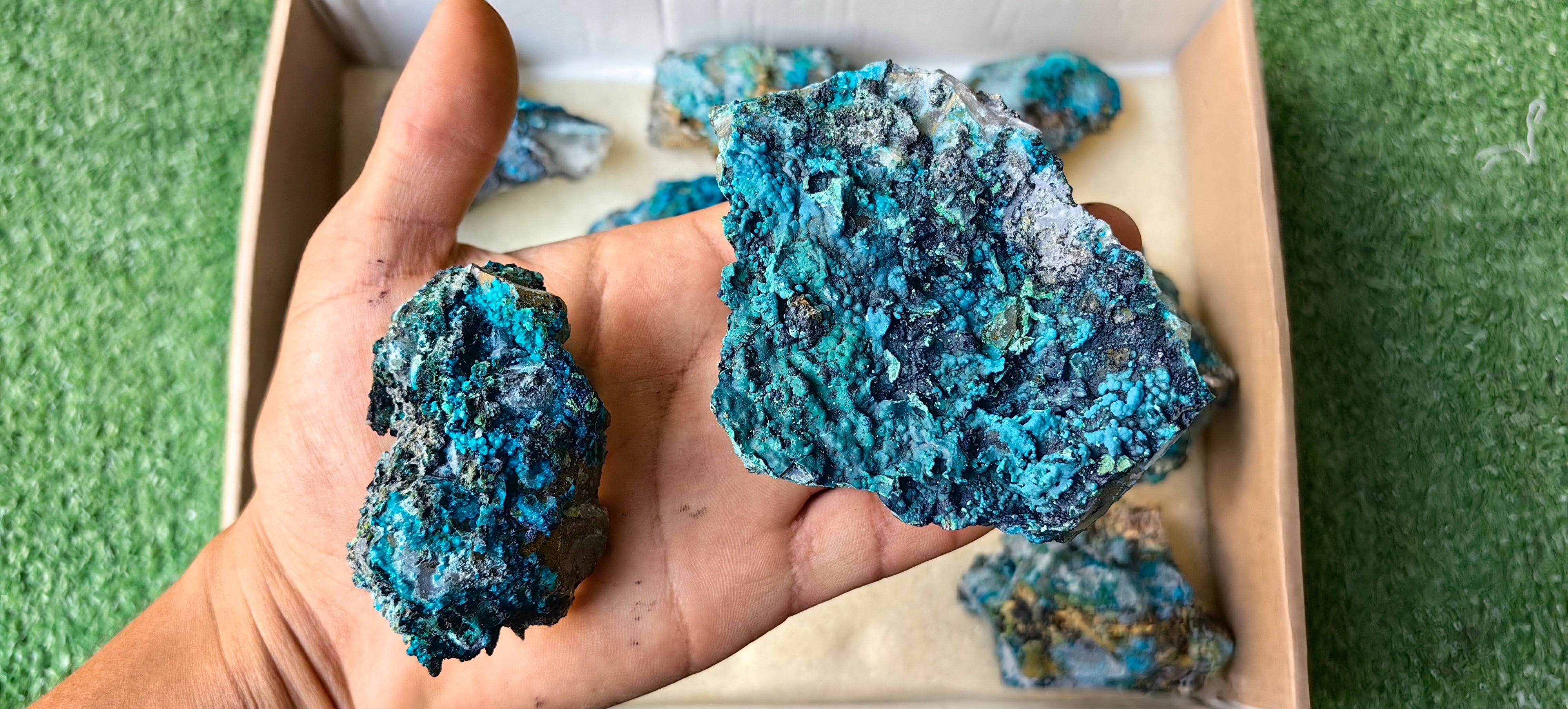 Lot 10 Chrysocolla on Quartz