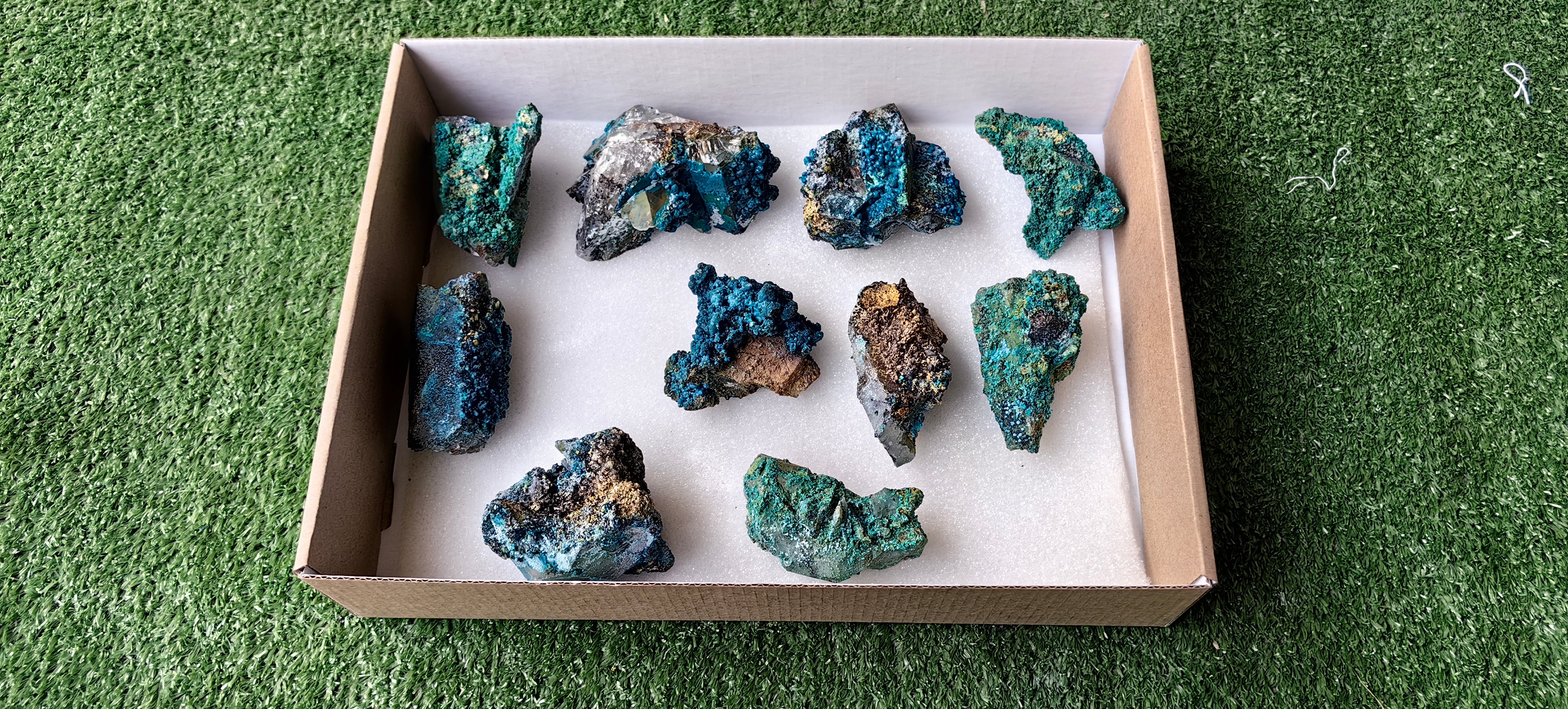 Lot 10 Chrysocolla on Quartz