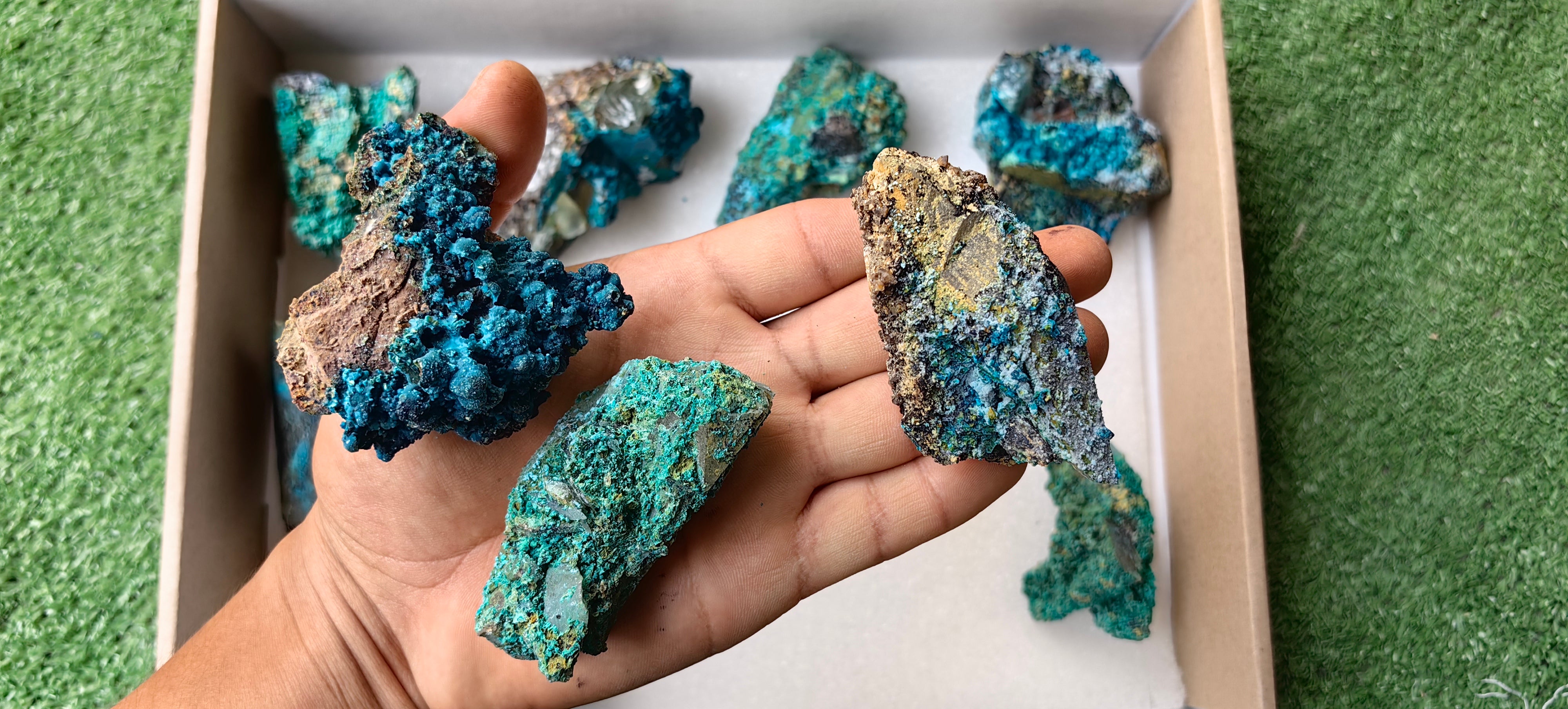 Lot 10 Chrysocolla on Quartz