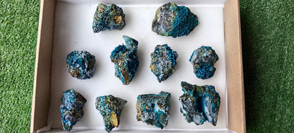 Lot 10 Chrysocolla on Quartz